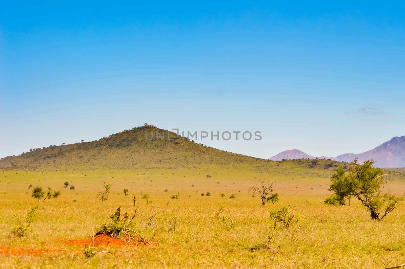 View of the Tsavo East savannah in Kenya  by Philou1000