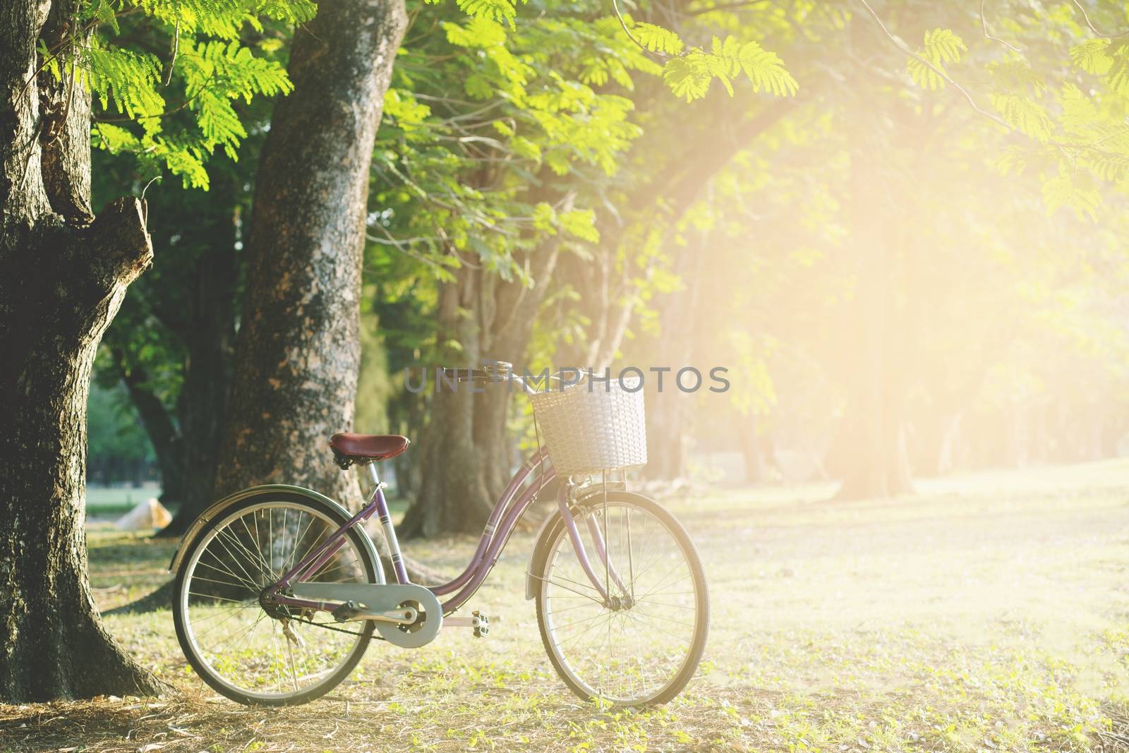 Old bike in the park with sunrise. by boytaro1428@gmail.com