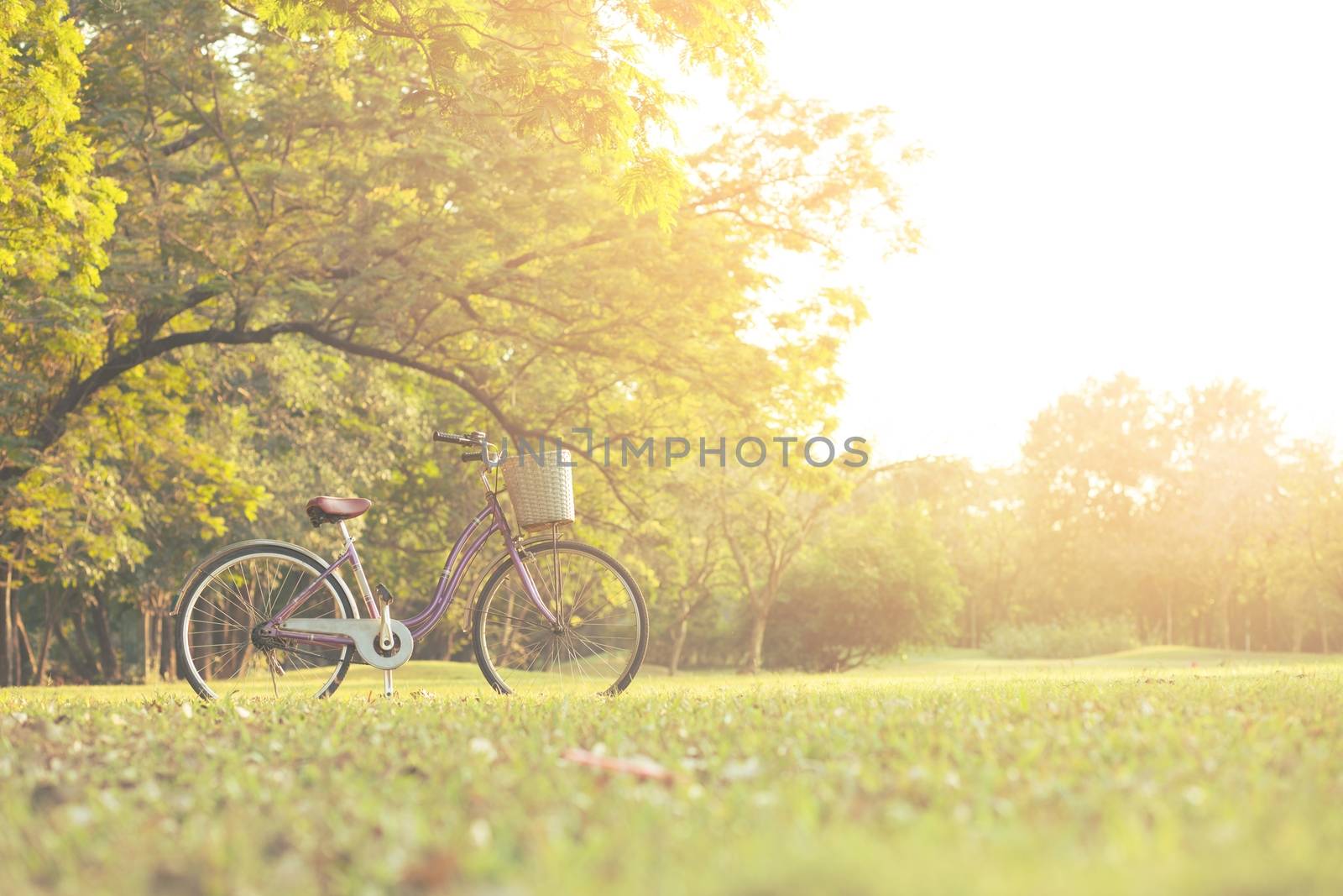 Old bike in the park with sunrise. by boytaro1428@gmail.com