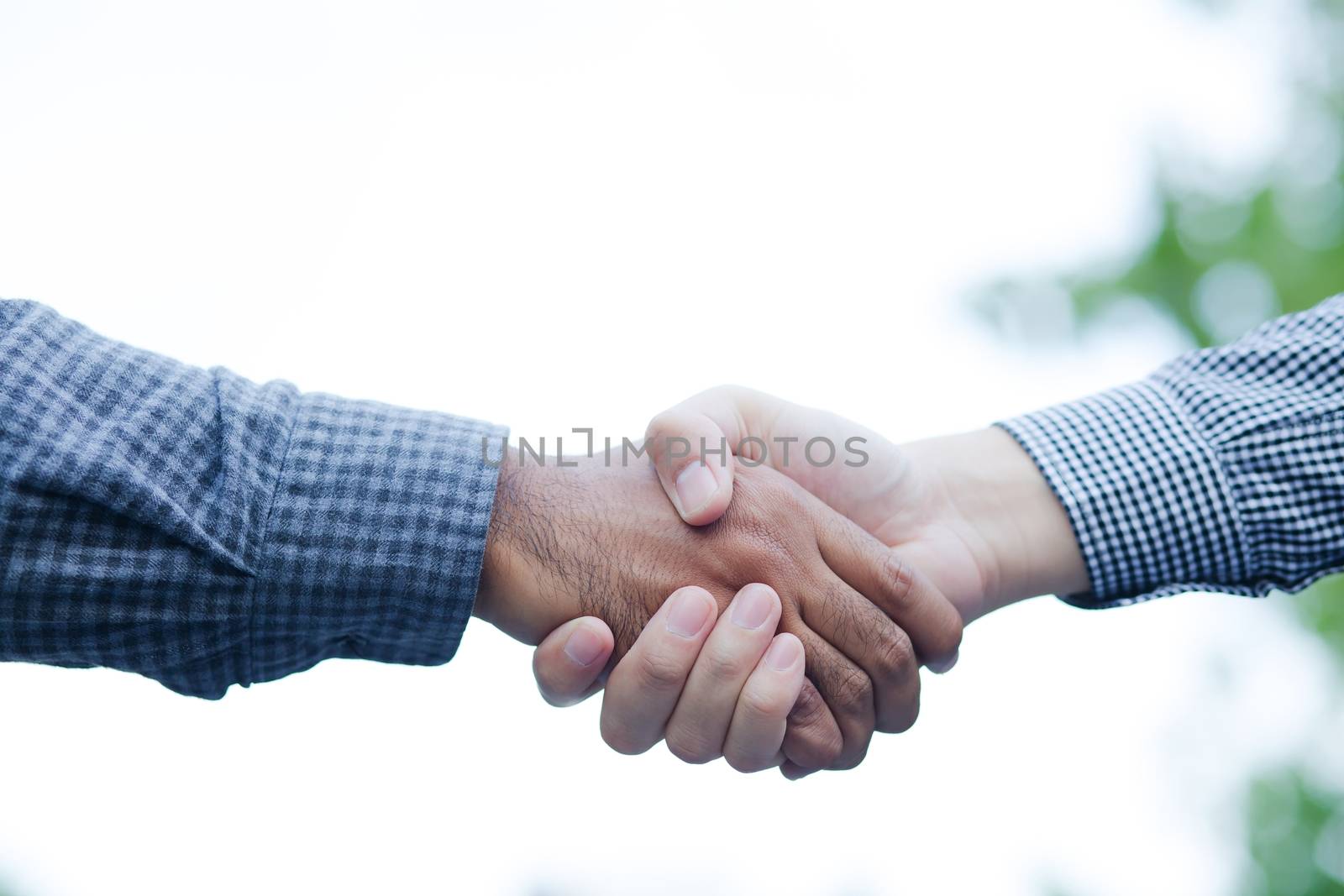 Business Shaking hands greetings