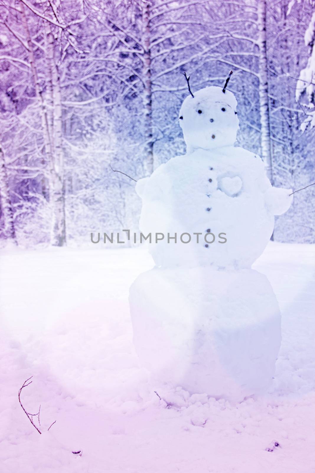 Snowman in winter park by destillat