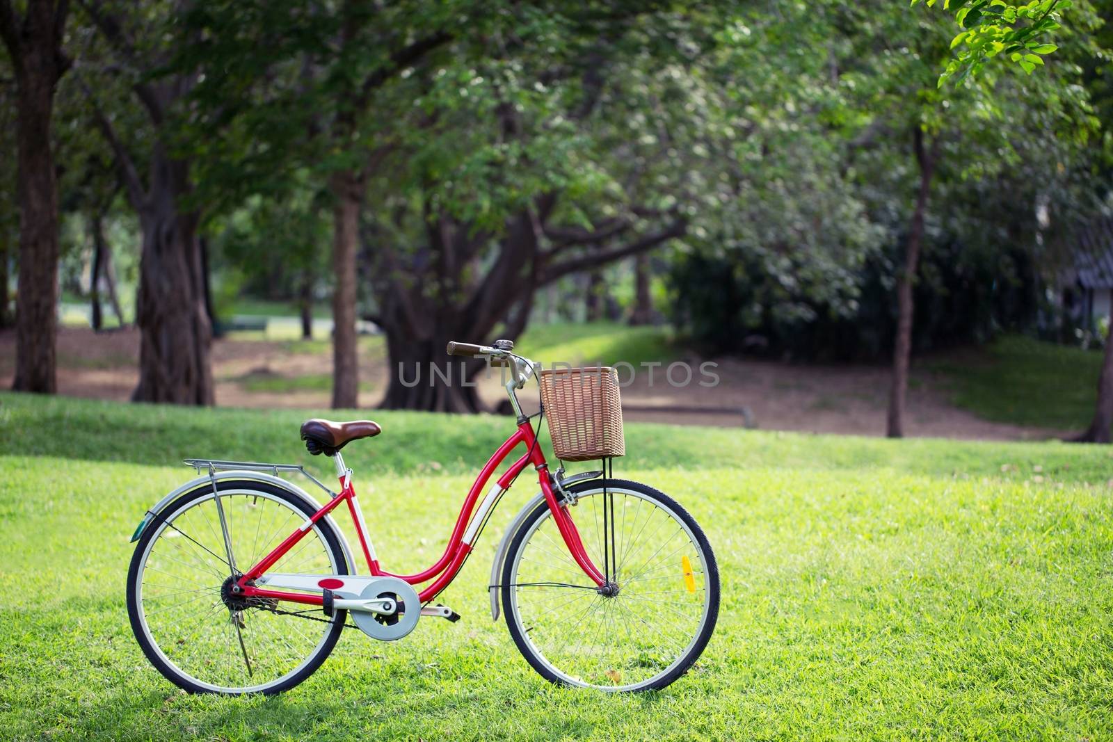 Red bike in the park.