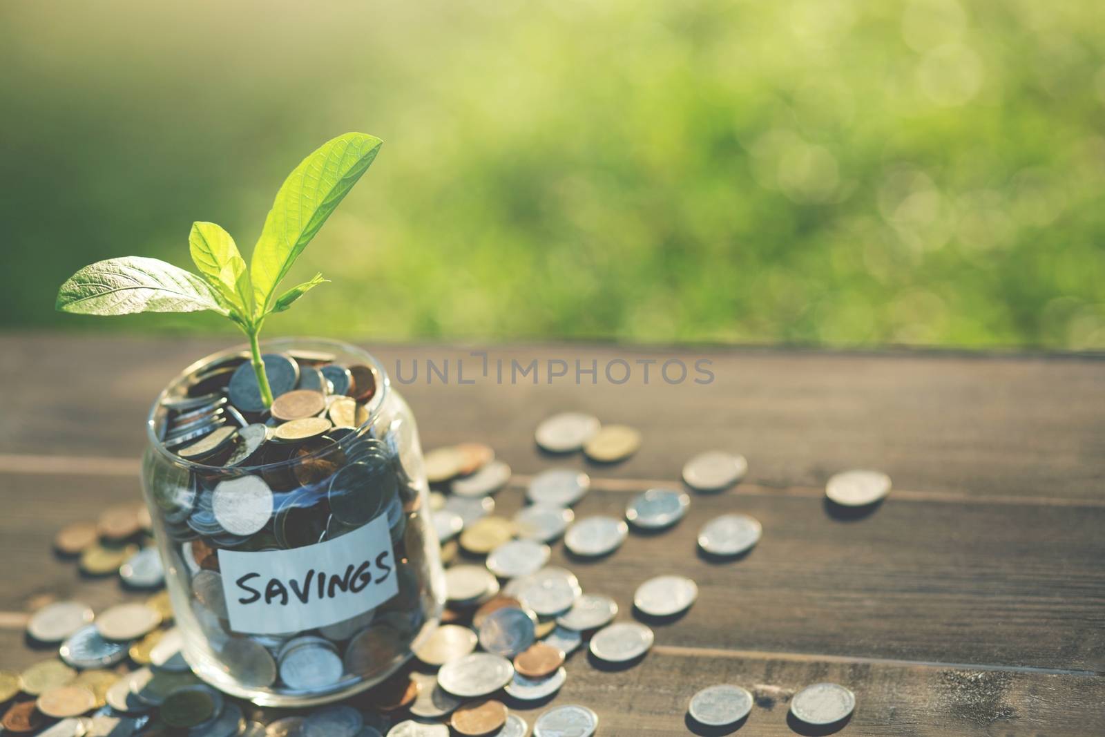 Saving money concept preset money coin for a growing future. by boytaro1428@gmail.com