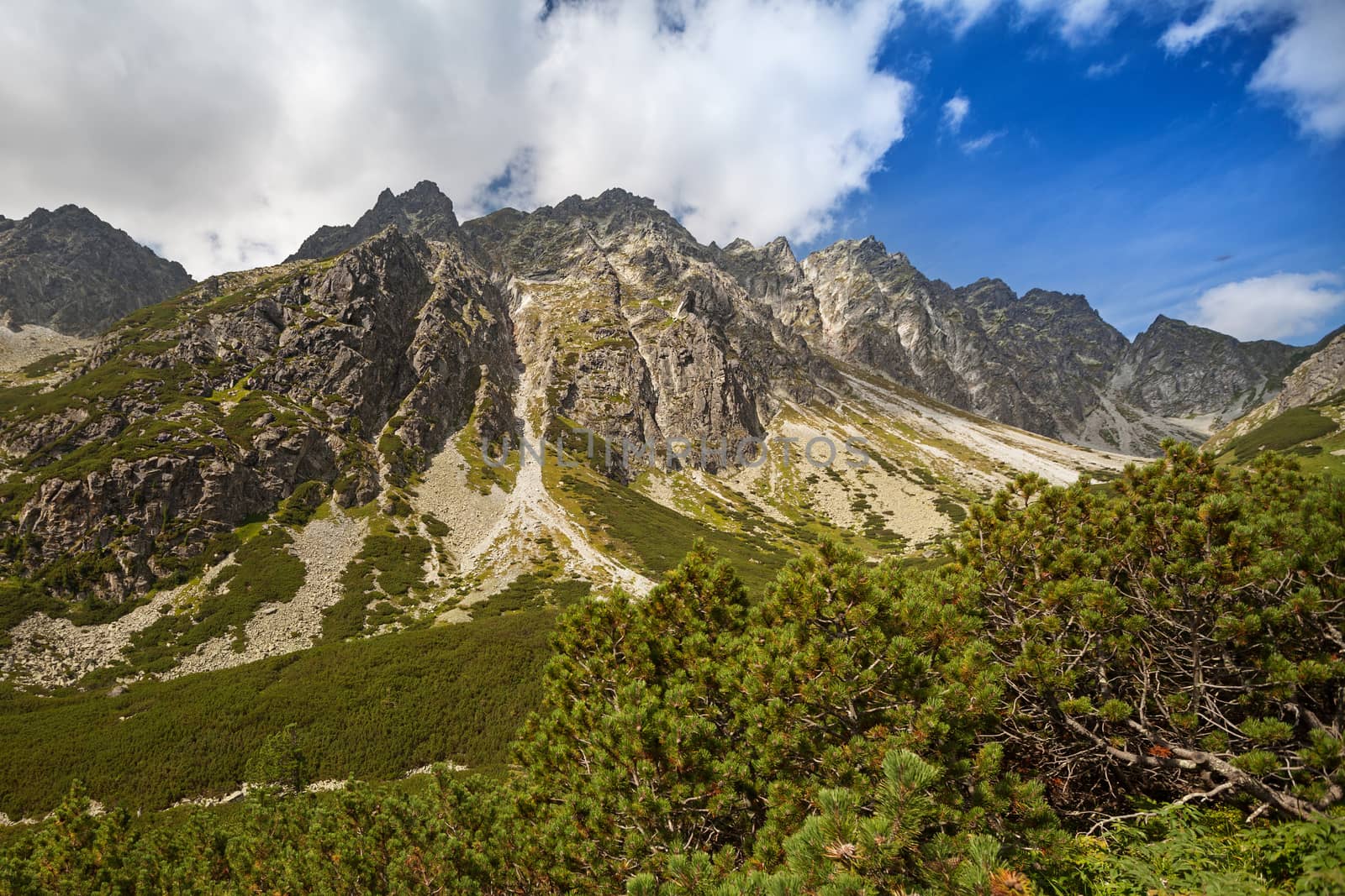 Admiring the beauty of rocky Tatra mountains by igor_stramyk