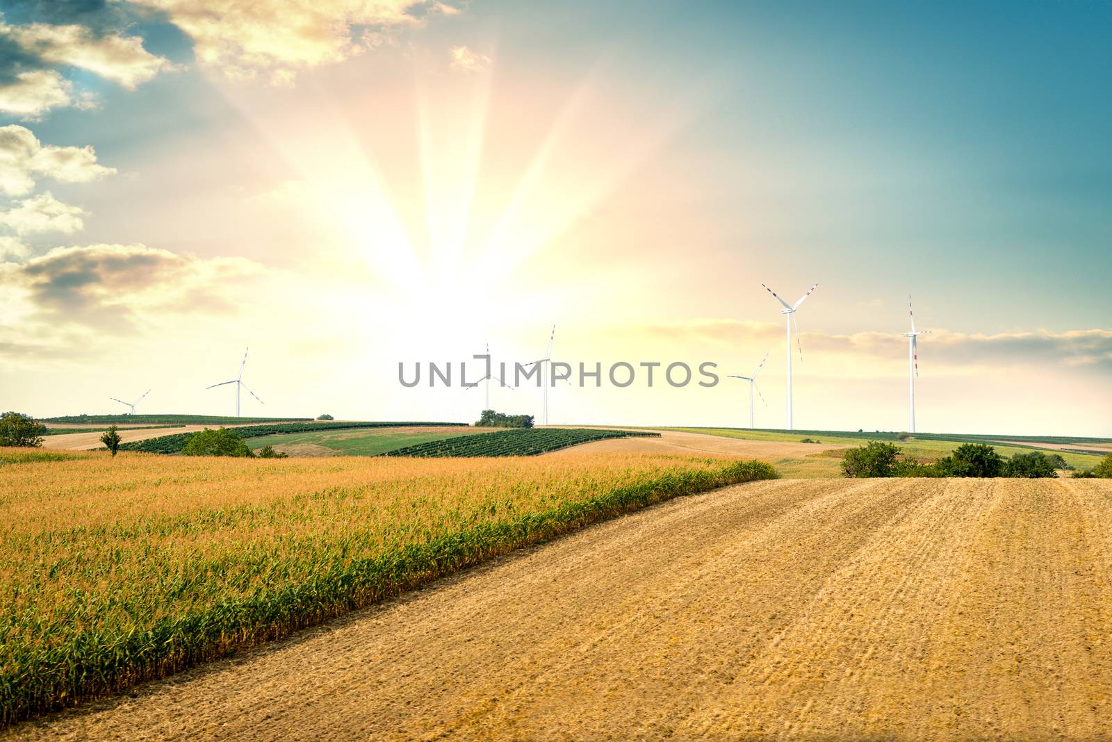 Wind generators turbines on sunset summer landscape