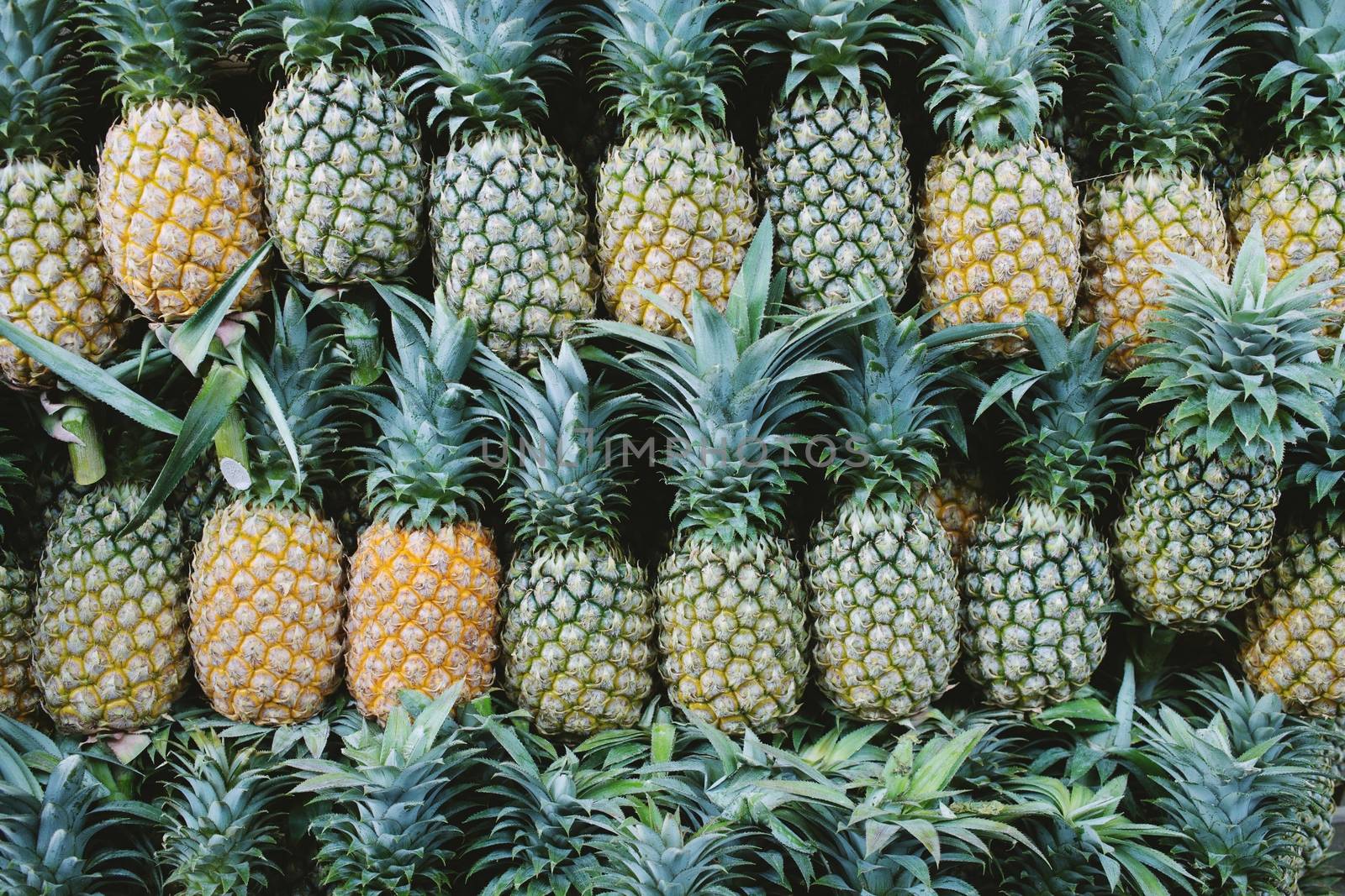 Pineapple in Supermarket Store by boytaro1428@gmail.com
