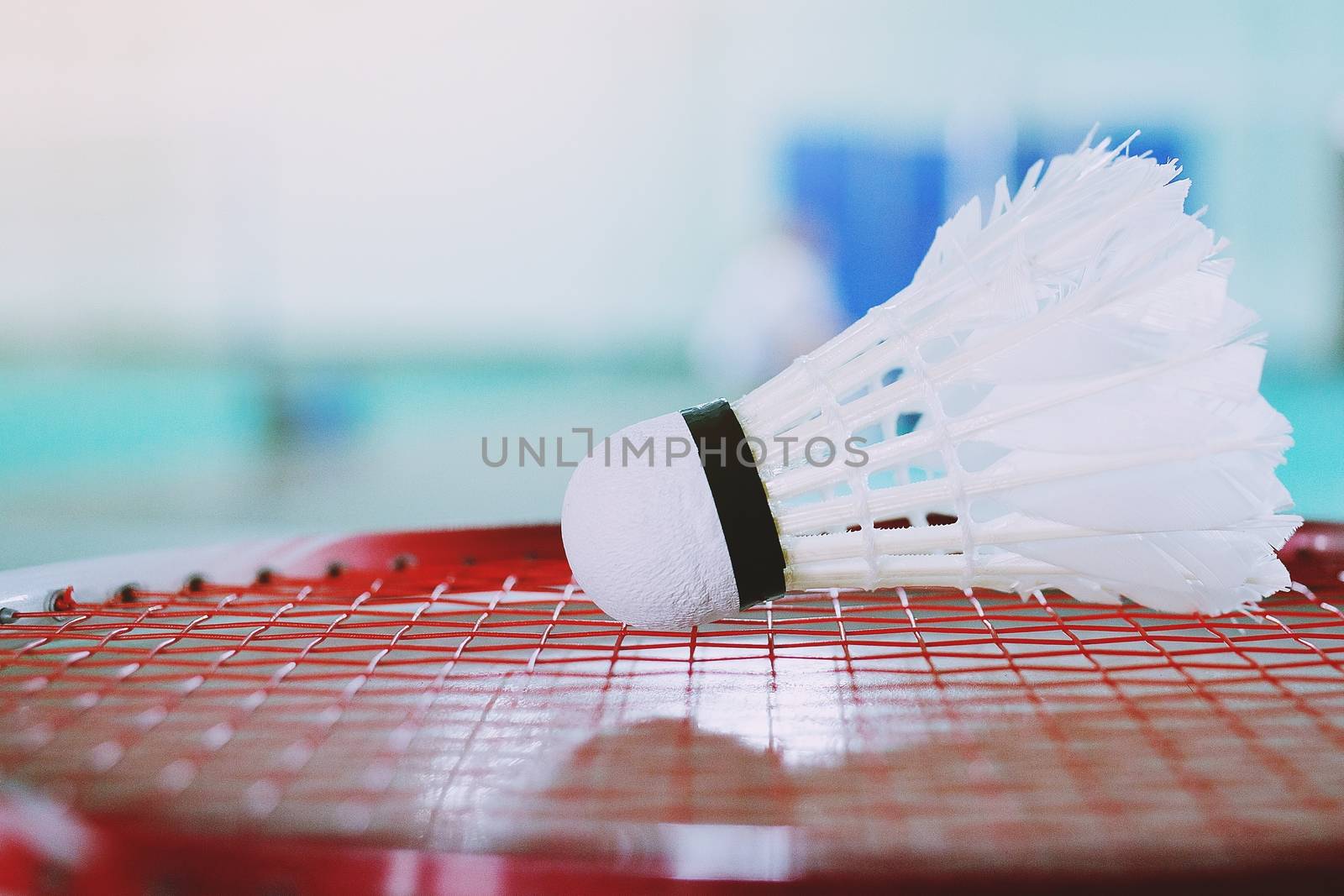 Badminton balls in the stadium