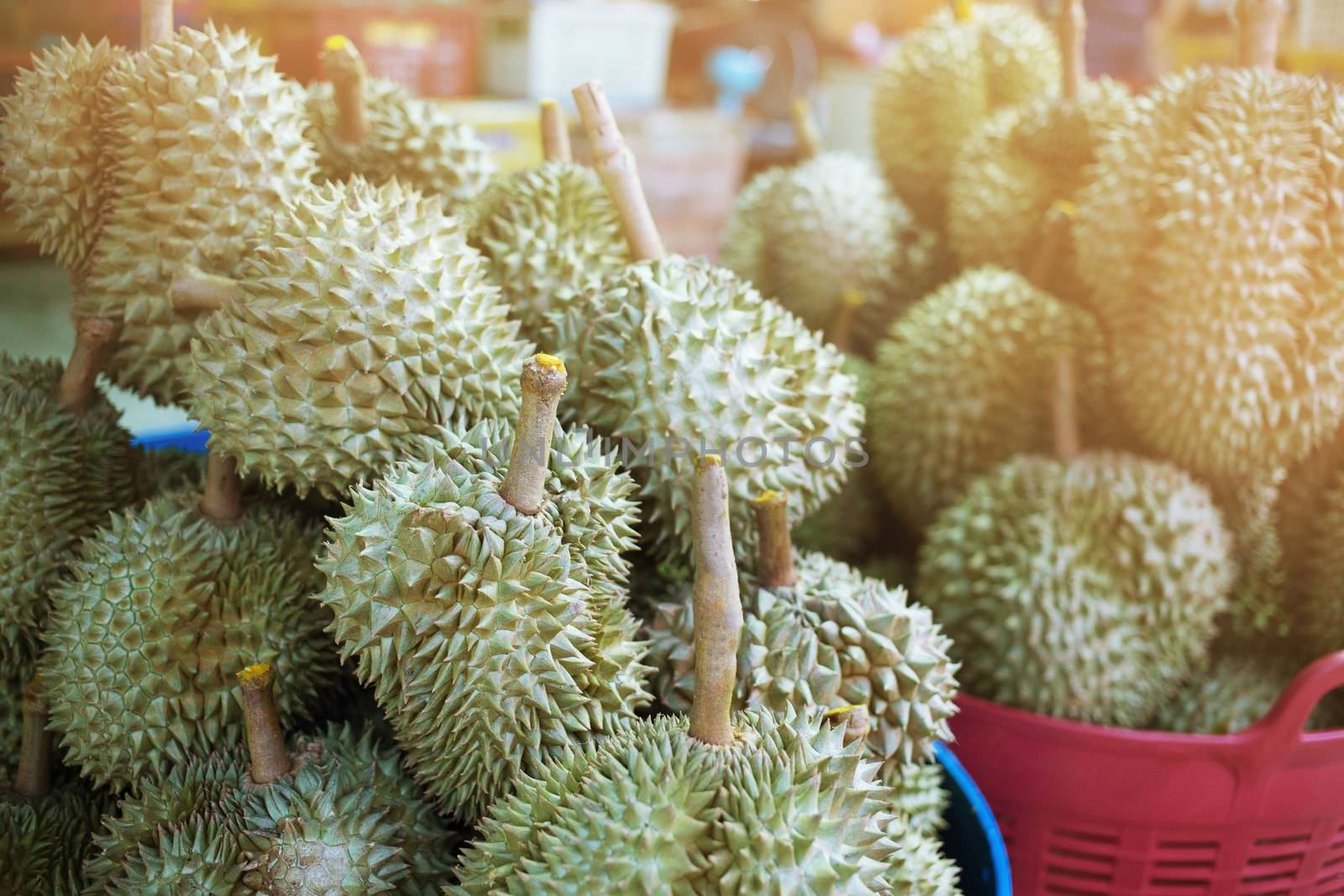 Durian is in the market