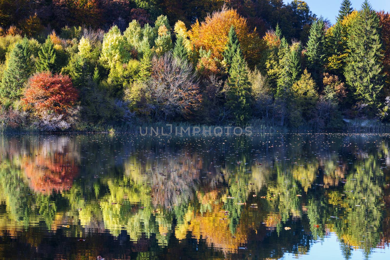 Beautiful lake in Plitvice National Park, Croatia 