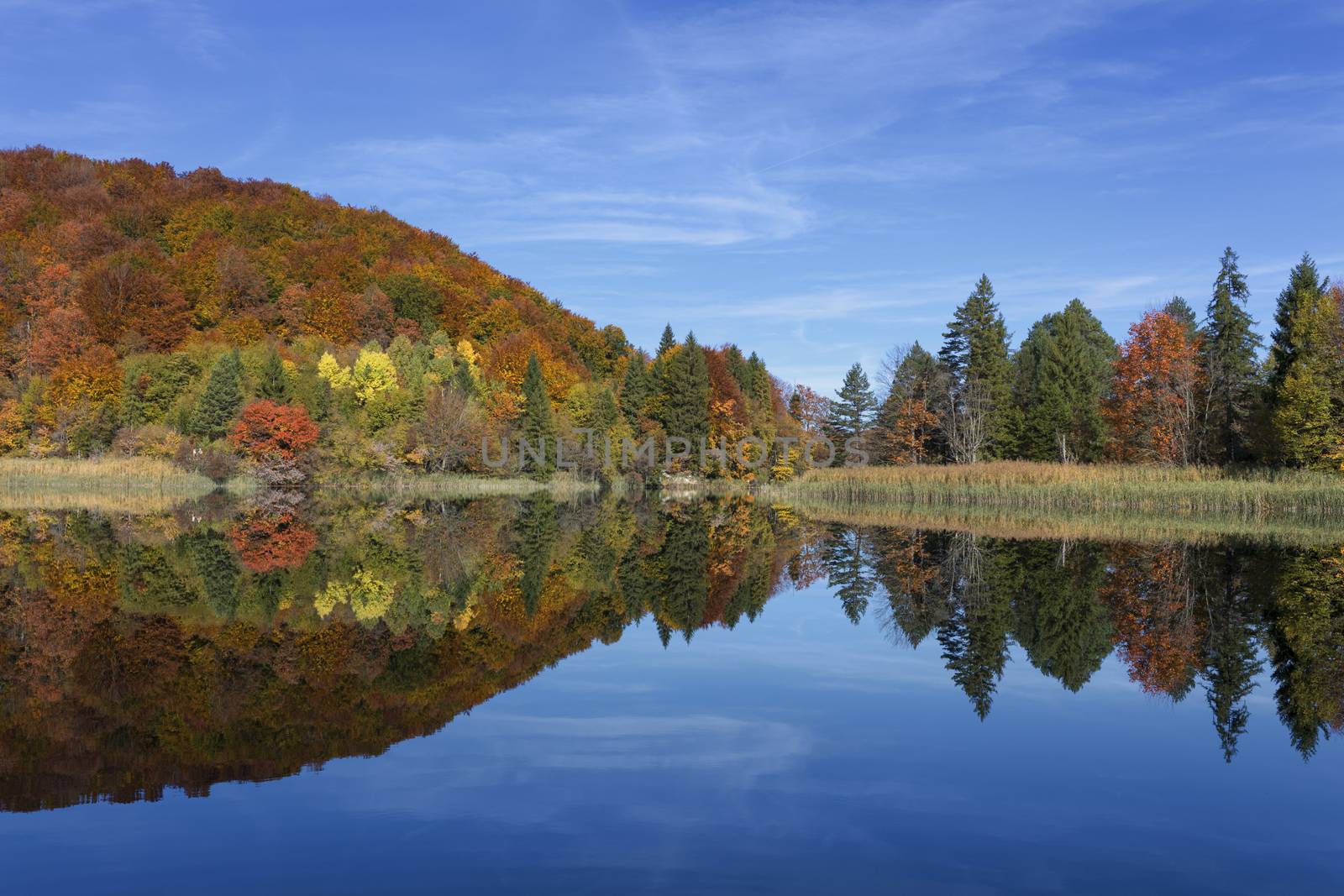 View of beautiful lake in Plitvice National Park by vwalakte