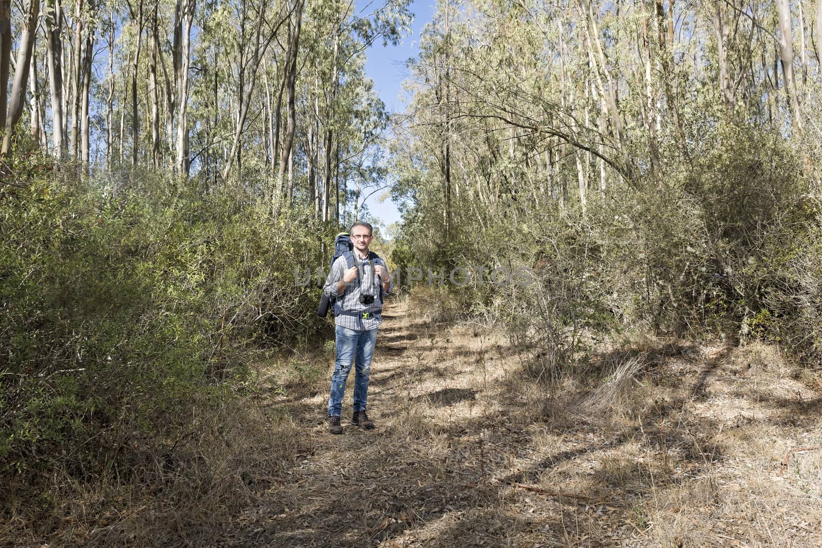 Hiker in the Sardinian of eucalyptus Forest with mirrorless camera