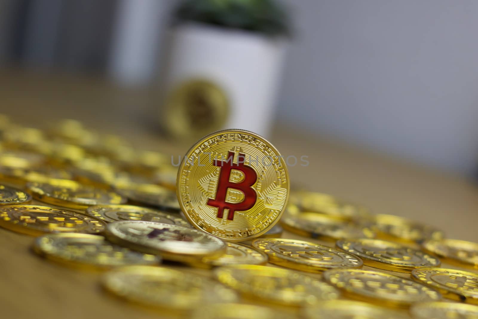Digital currency physical metal bitcoin coin on the gold money background. Money concept.