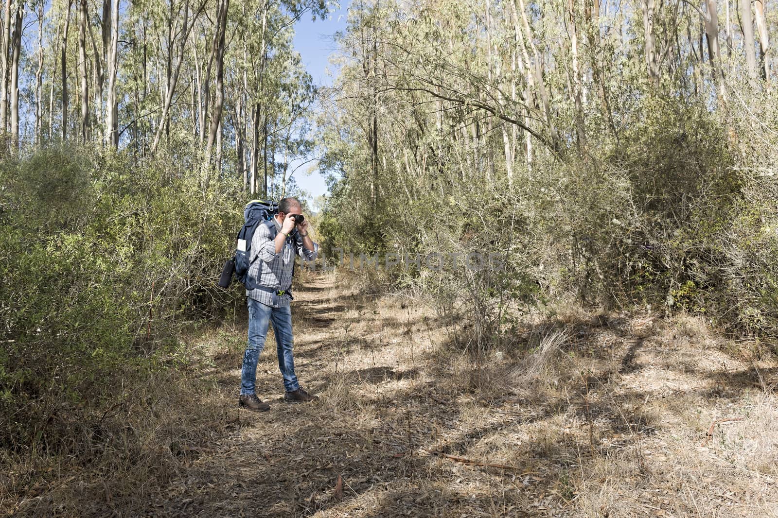 Hiker in the Sardinian Forest with mirrorless camera