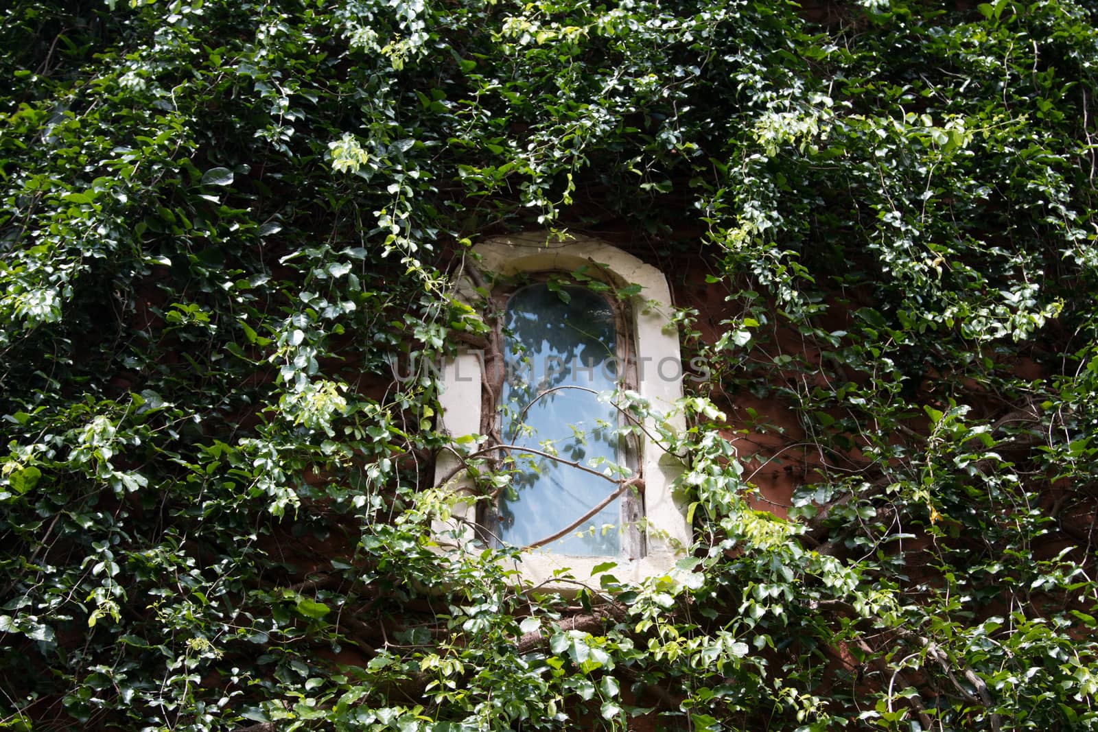 old window on old wall by N_u_T