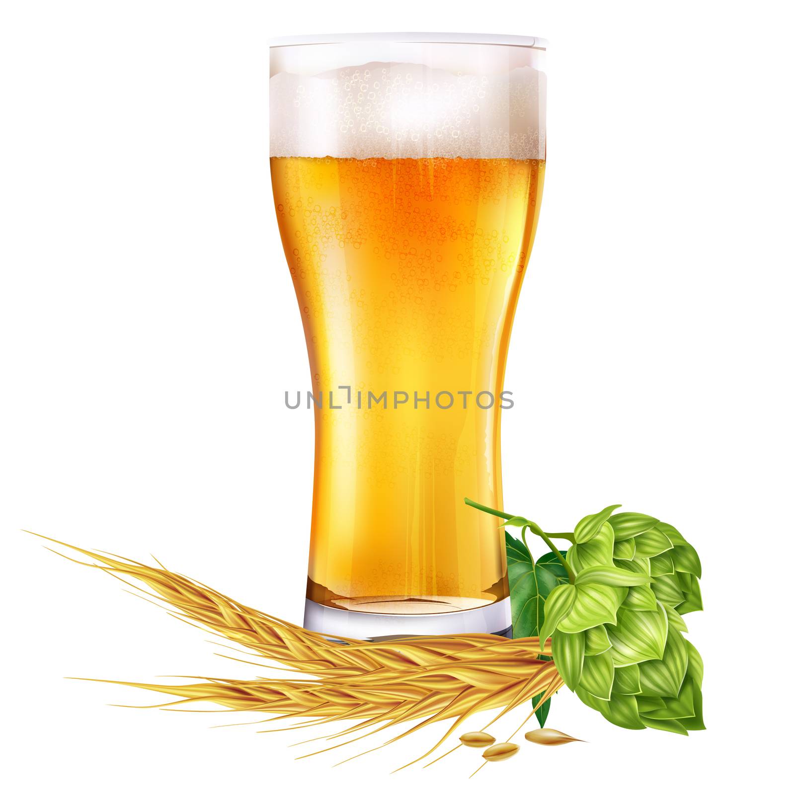 Glass of beer and hops. Isolated illustration on white background.