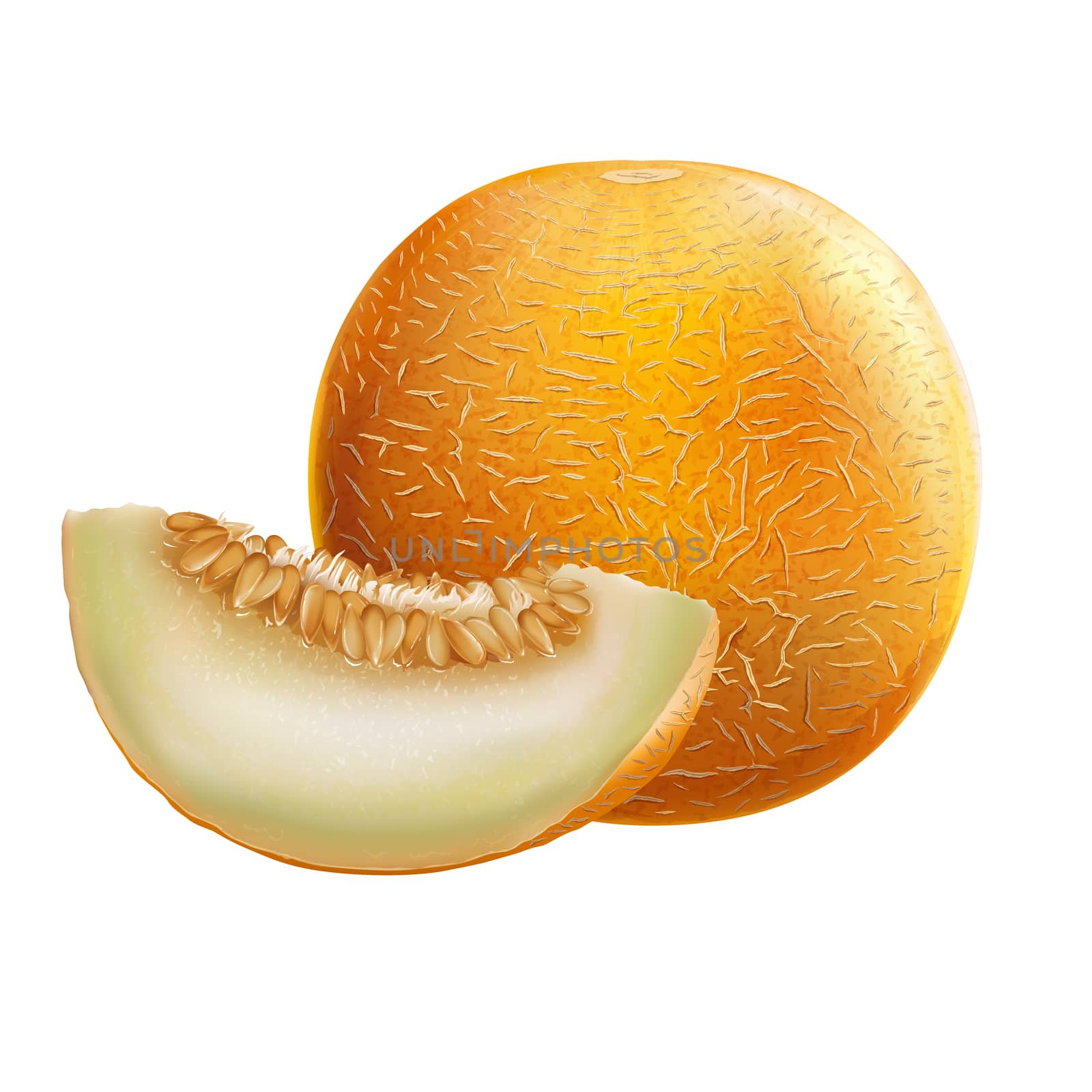 Melon on white background by ConceptCafe