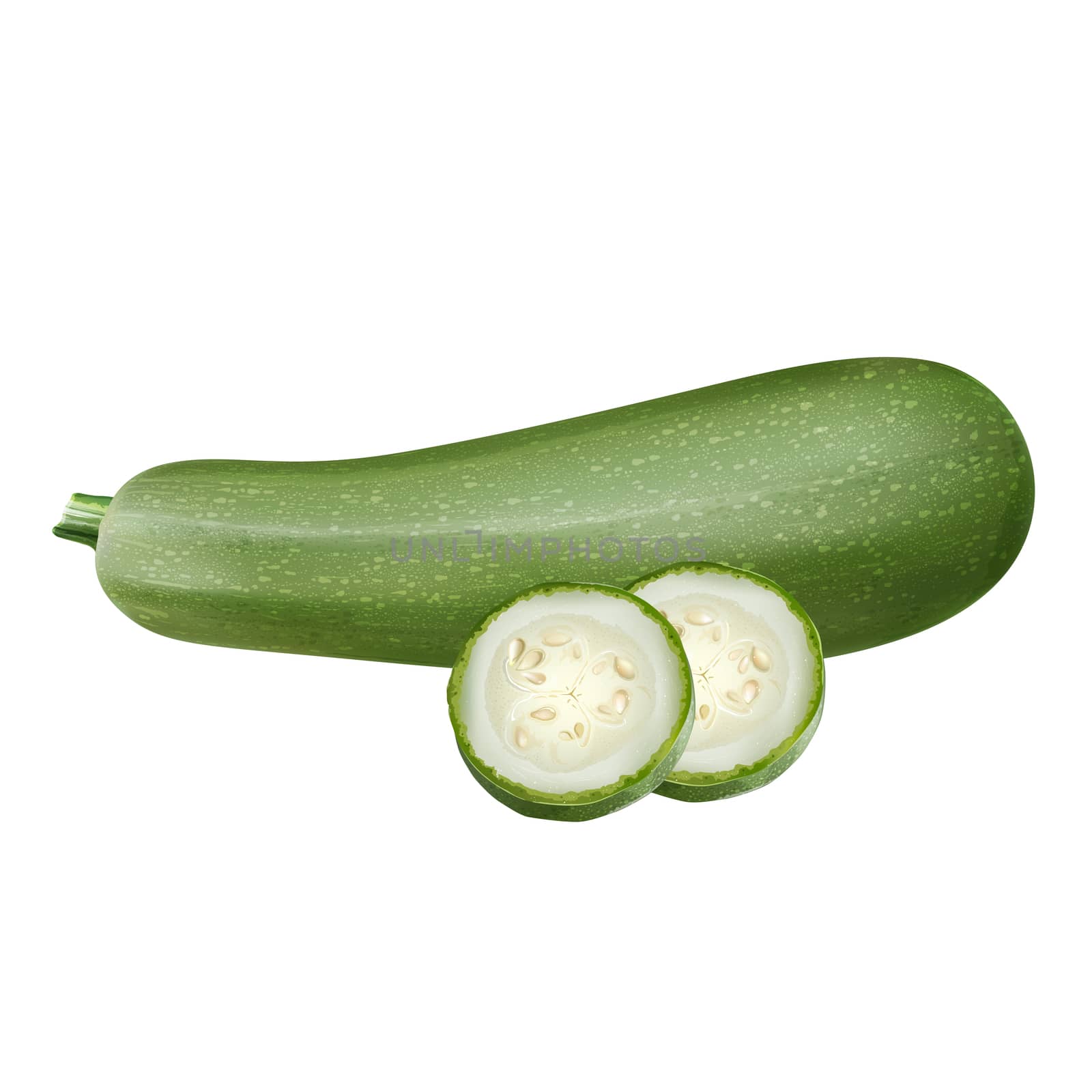 Zucchini on white background by ConceptCafe