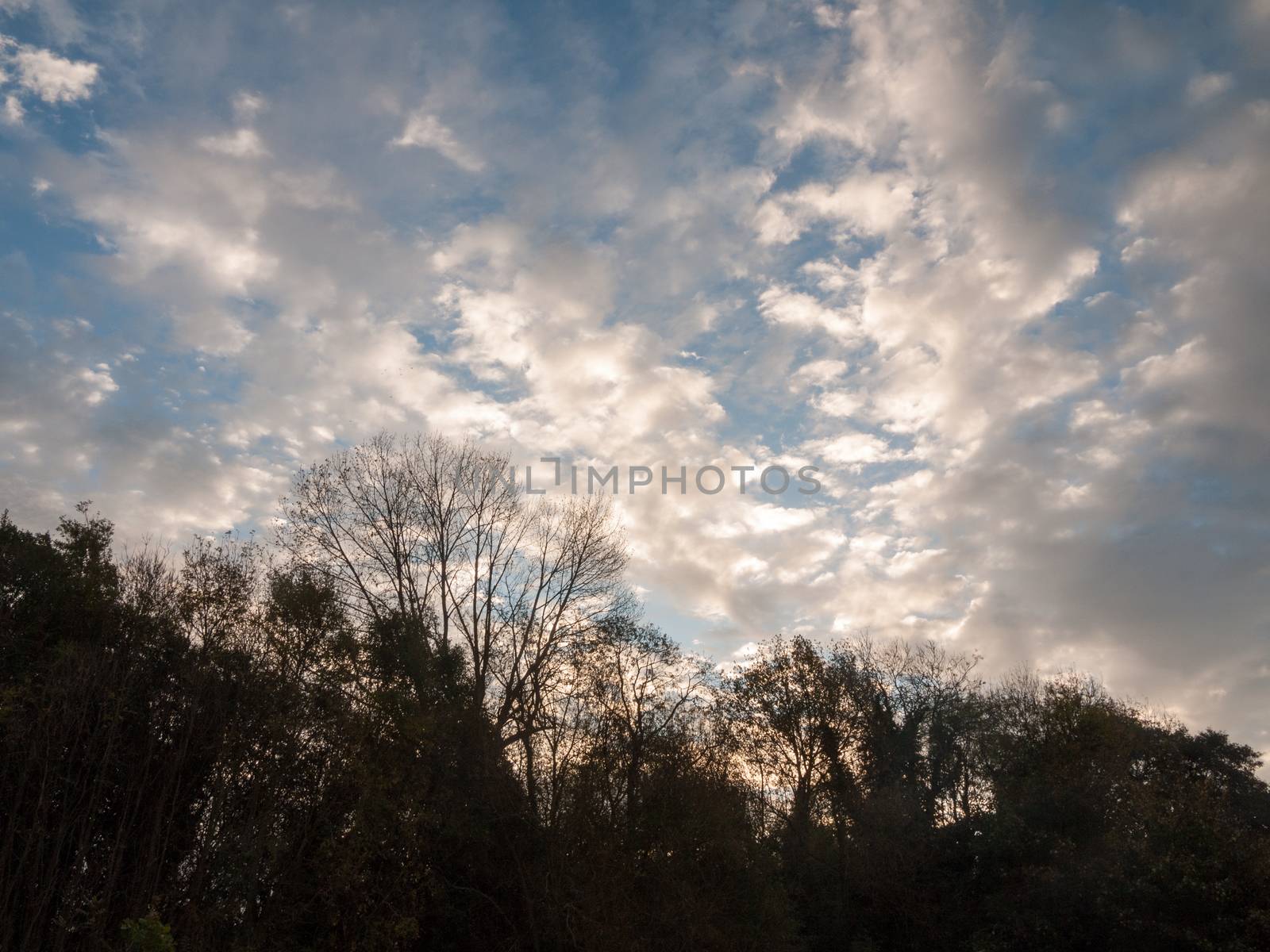 stunning dramatic morning cloudy blue sky overhead space; essex; england; uk