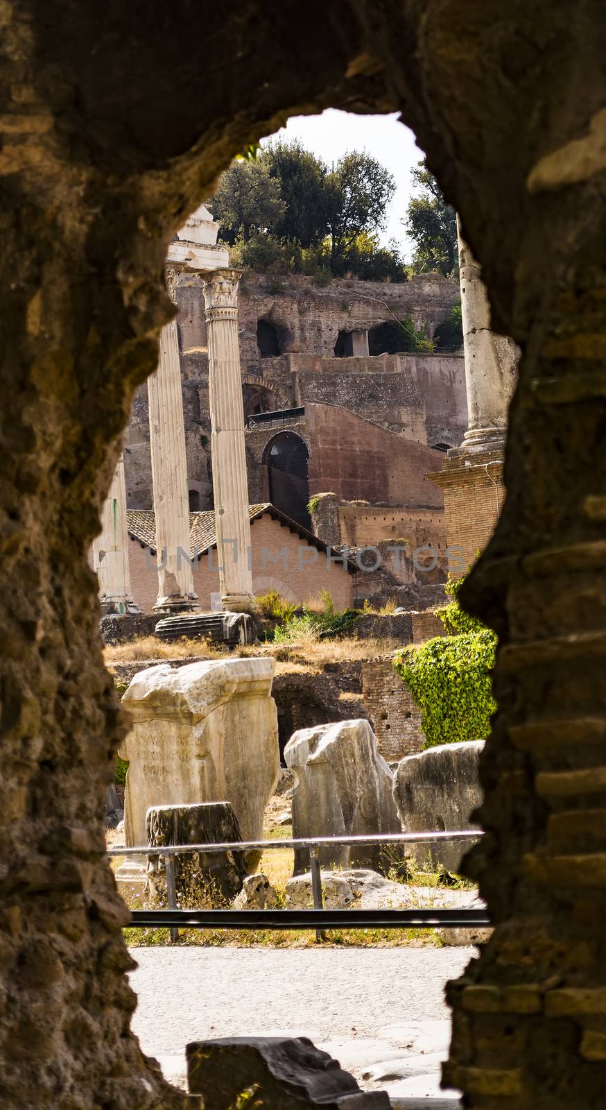 Ruins of the Roman Forum in Rome, Italy. by ankarb