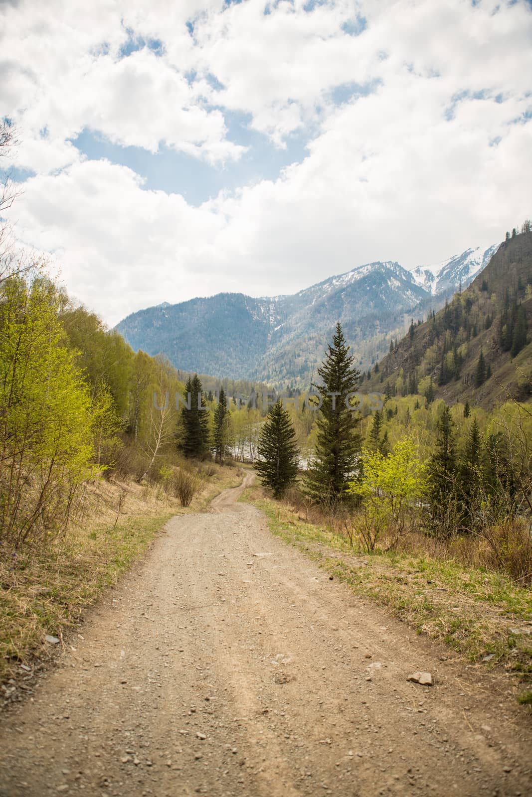 Forest road to the mountains on a warm spring day