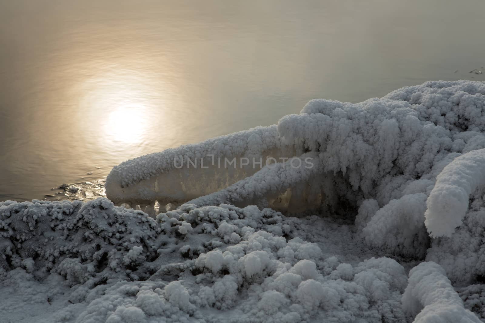 the frosty morning mist