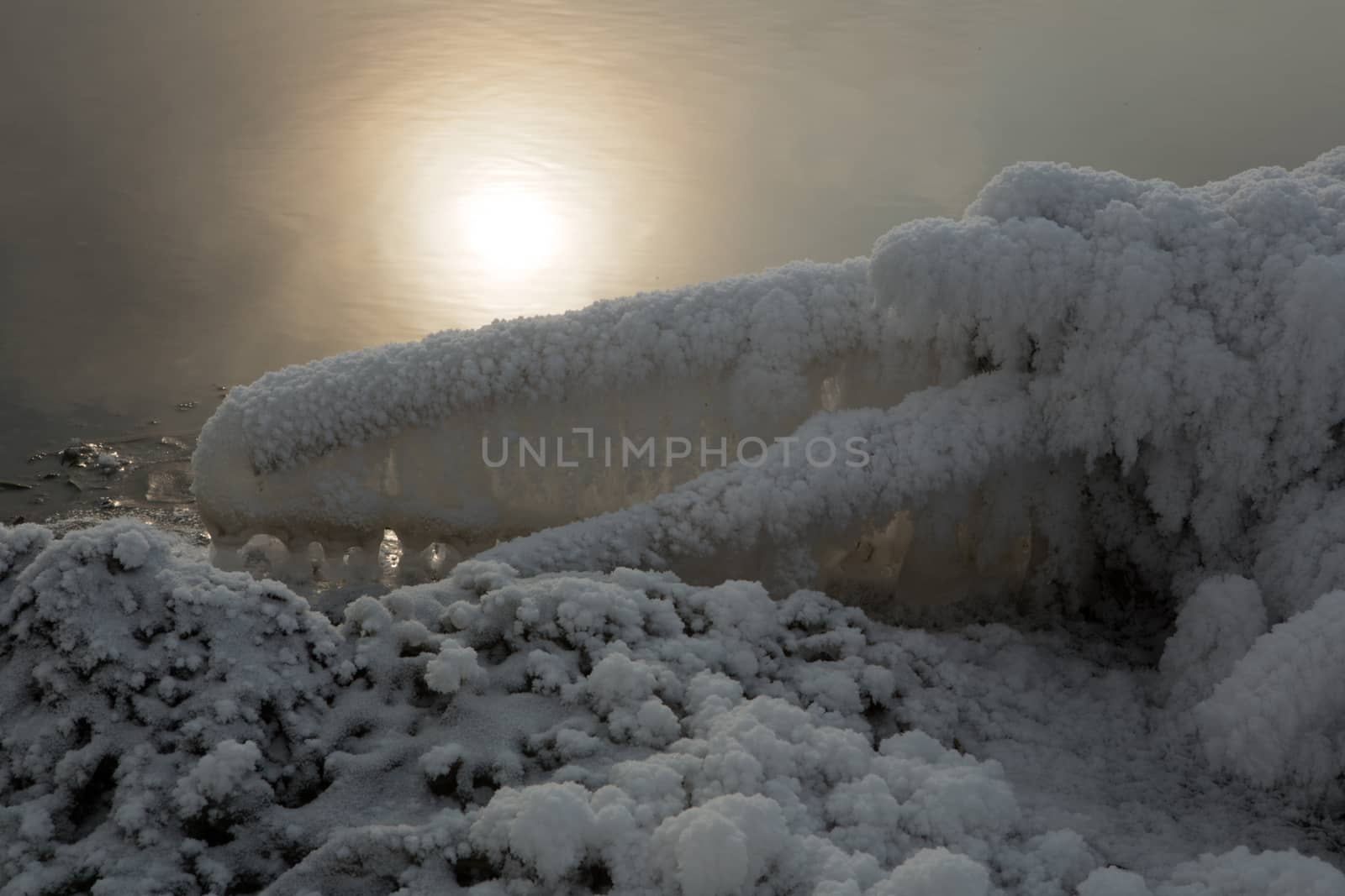 the frosty morning mist