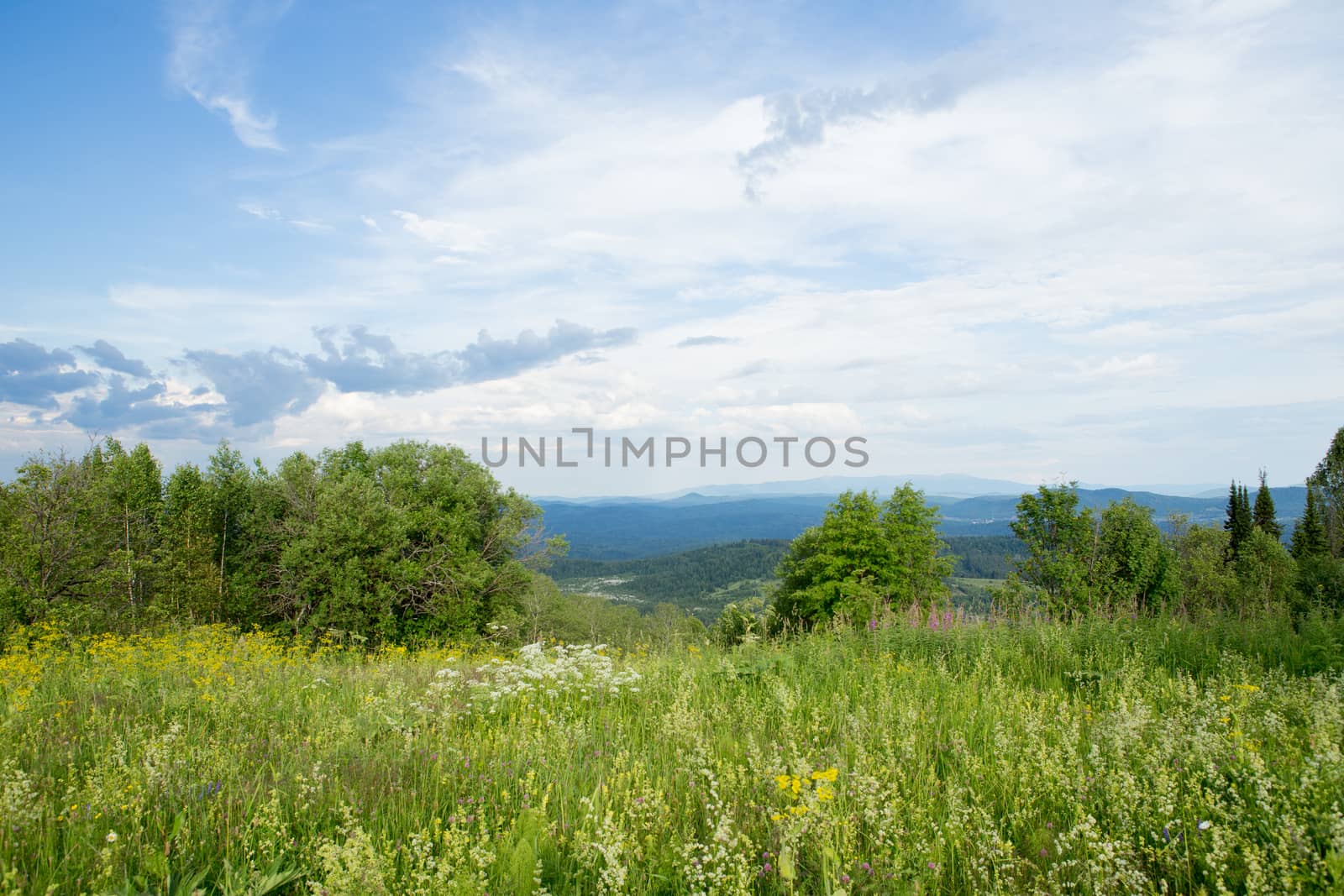 Field, forest and mountain
