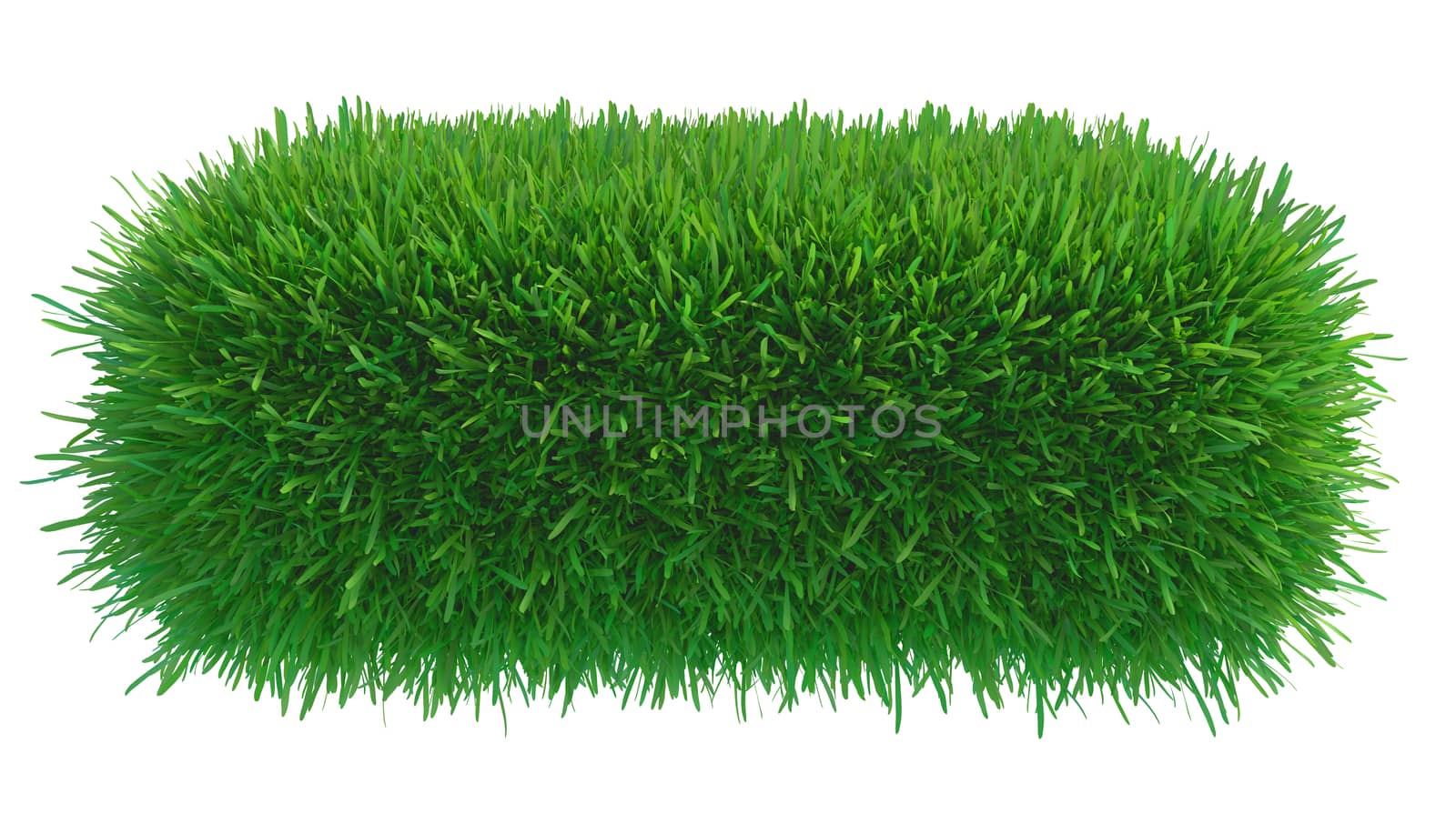 green grass piece isolated on white background. 3d rendering