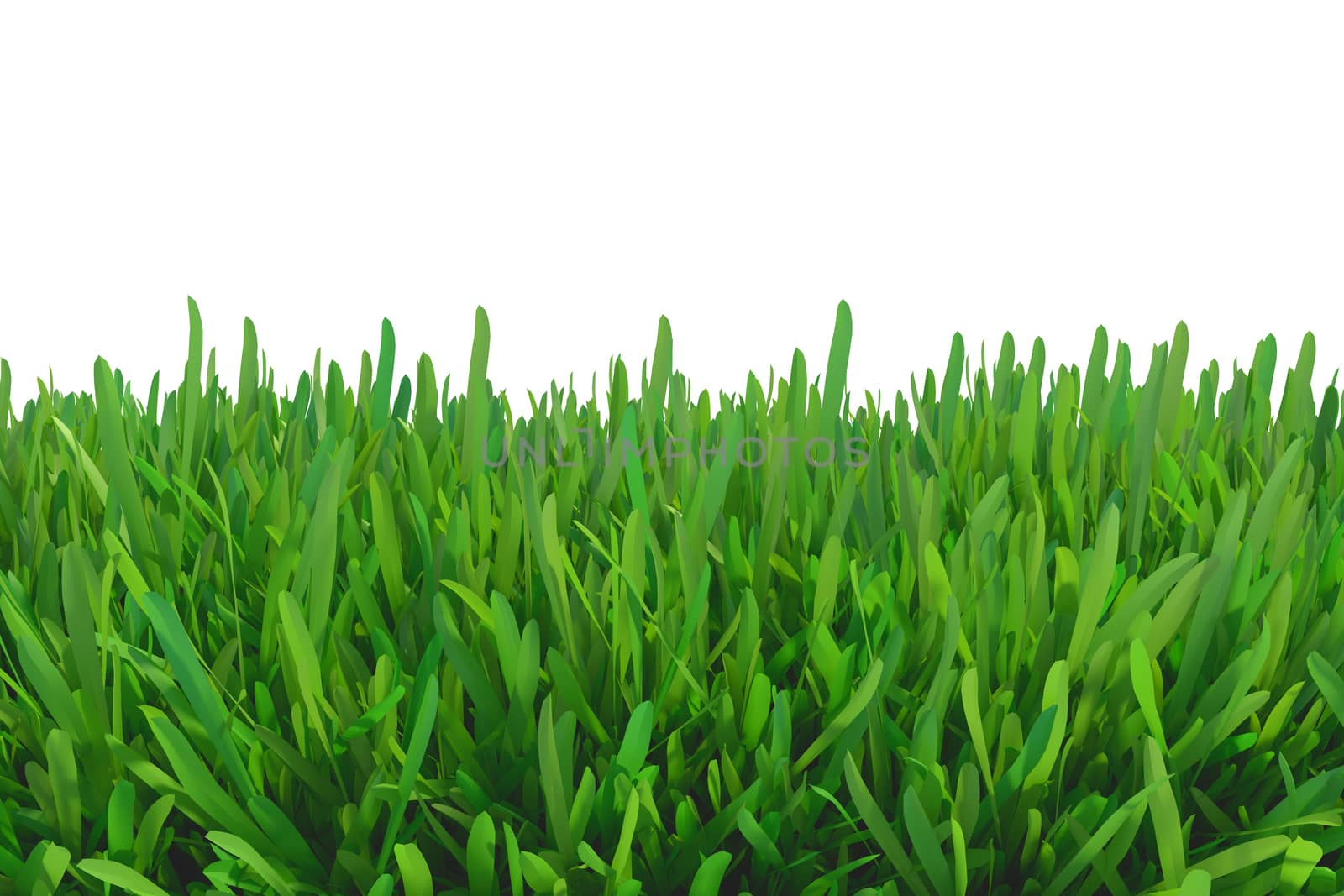 green grass nature by Mirexon