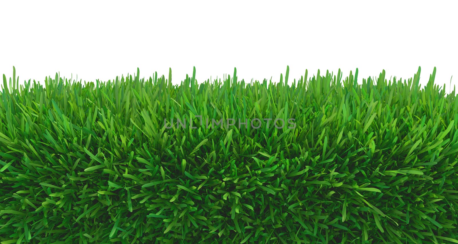 green grass nature. plants lawn. 3d rendering