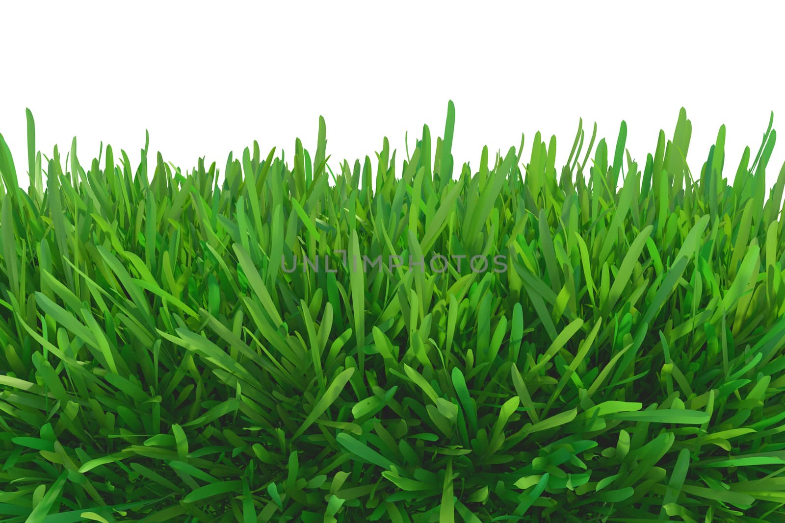 green grass meadow. plants lawn. 3d rendering