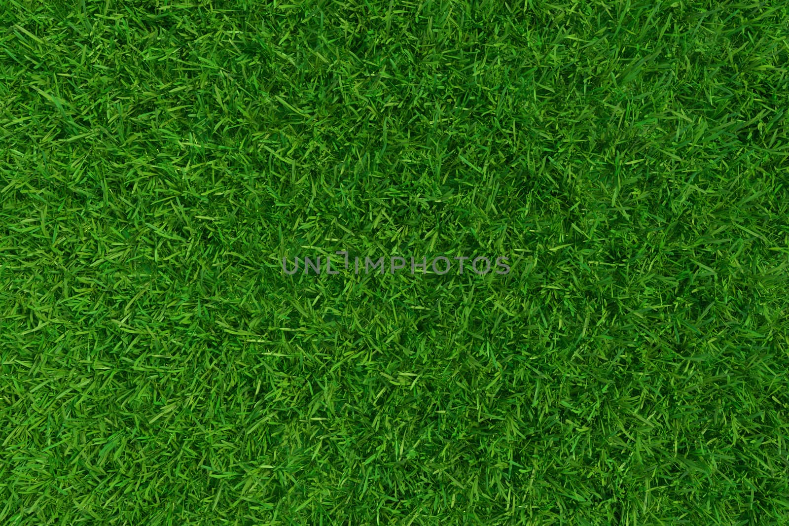 Green grass. background texture. fresh spring green grass. 3d rendering