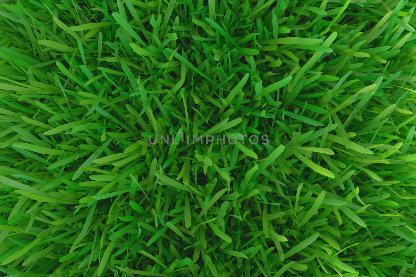 Green grass. background texture. fresh spring green grass. 3d rendering