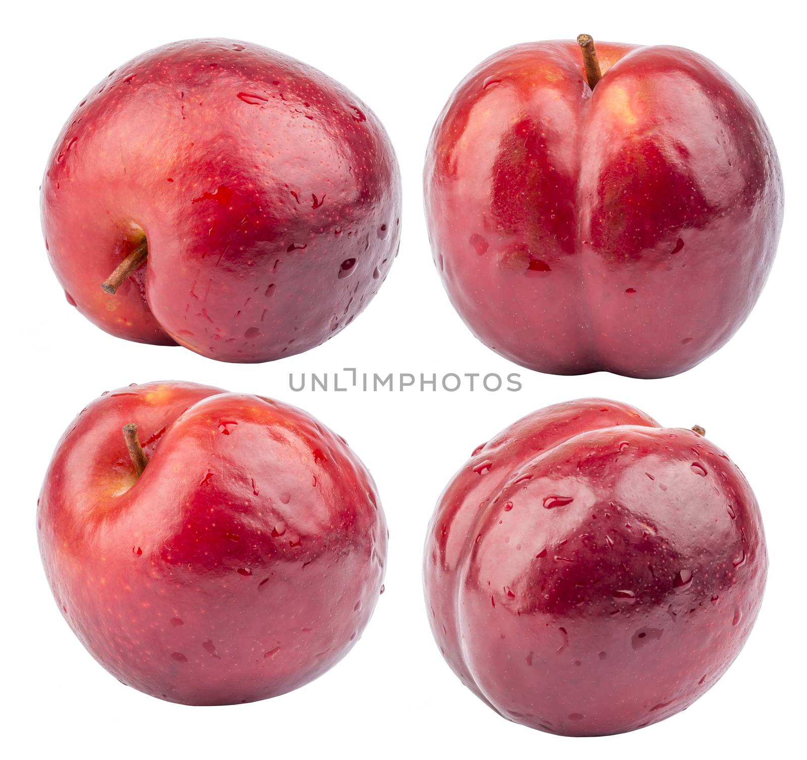 Nectarine fruit isolated on the white background