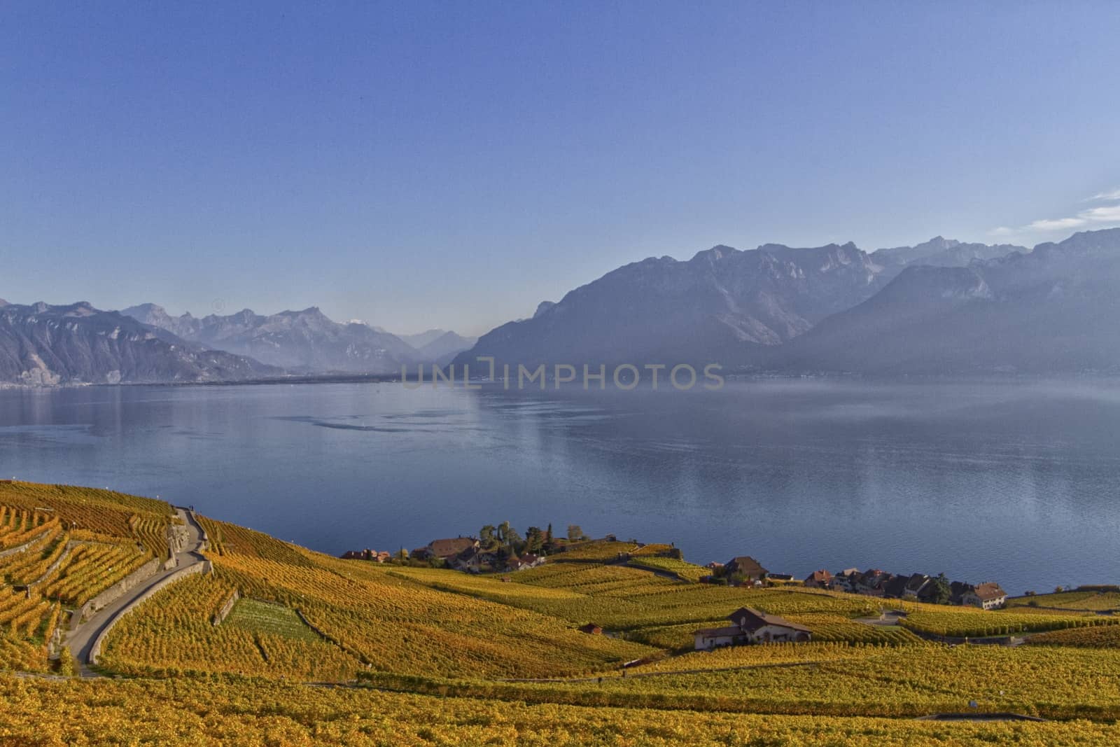 View over lake Geneva from the Lavaux by mariephotos