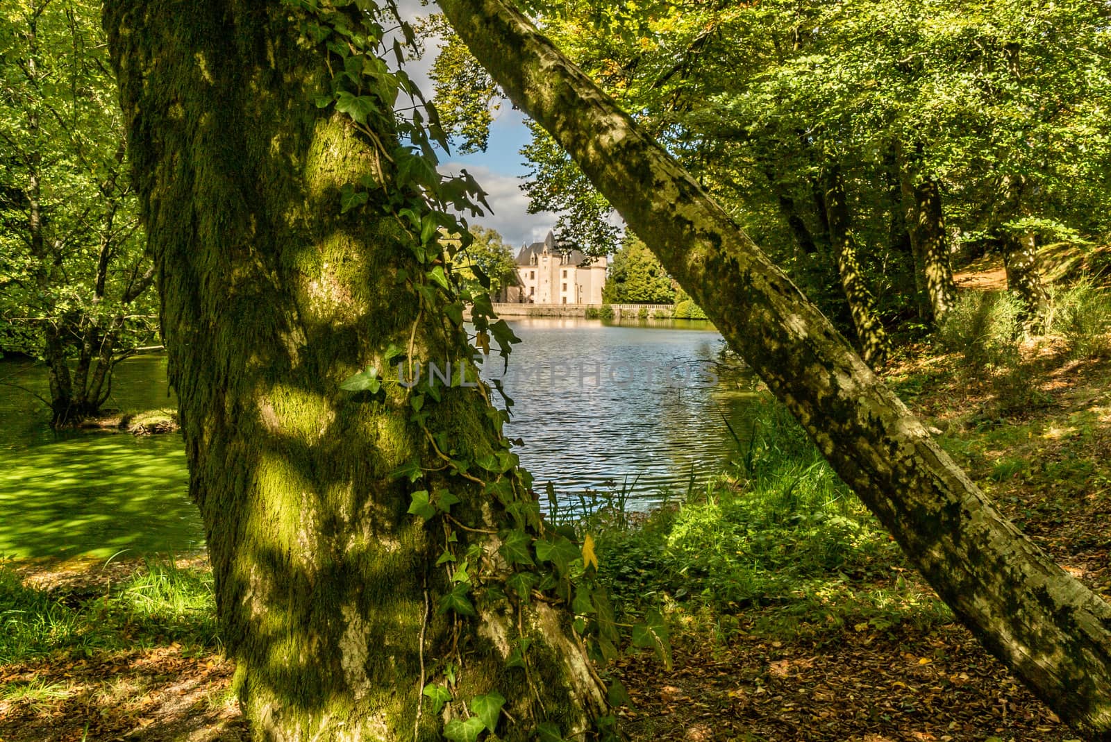 The Nieul castle in autumn