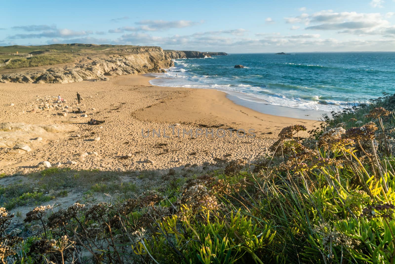 The wild coast in Quiberon, France