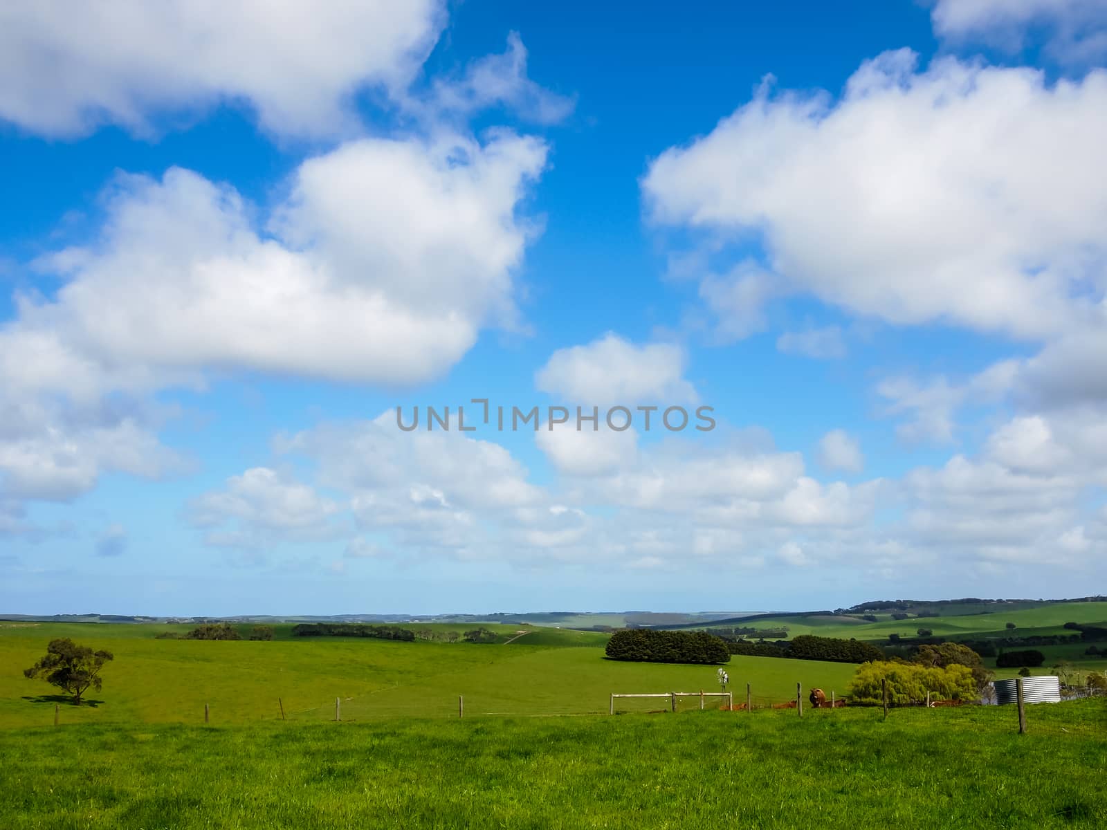 green fields and blue sky in the valley by simpleBE