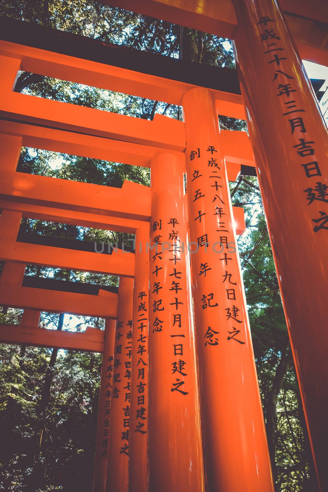 Fushimi Inari Taisha torii shrine, Kyoto, Japan