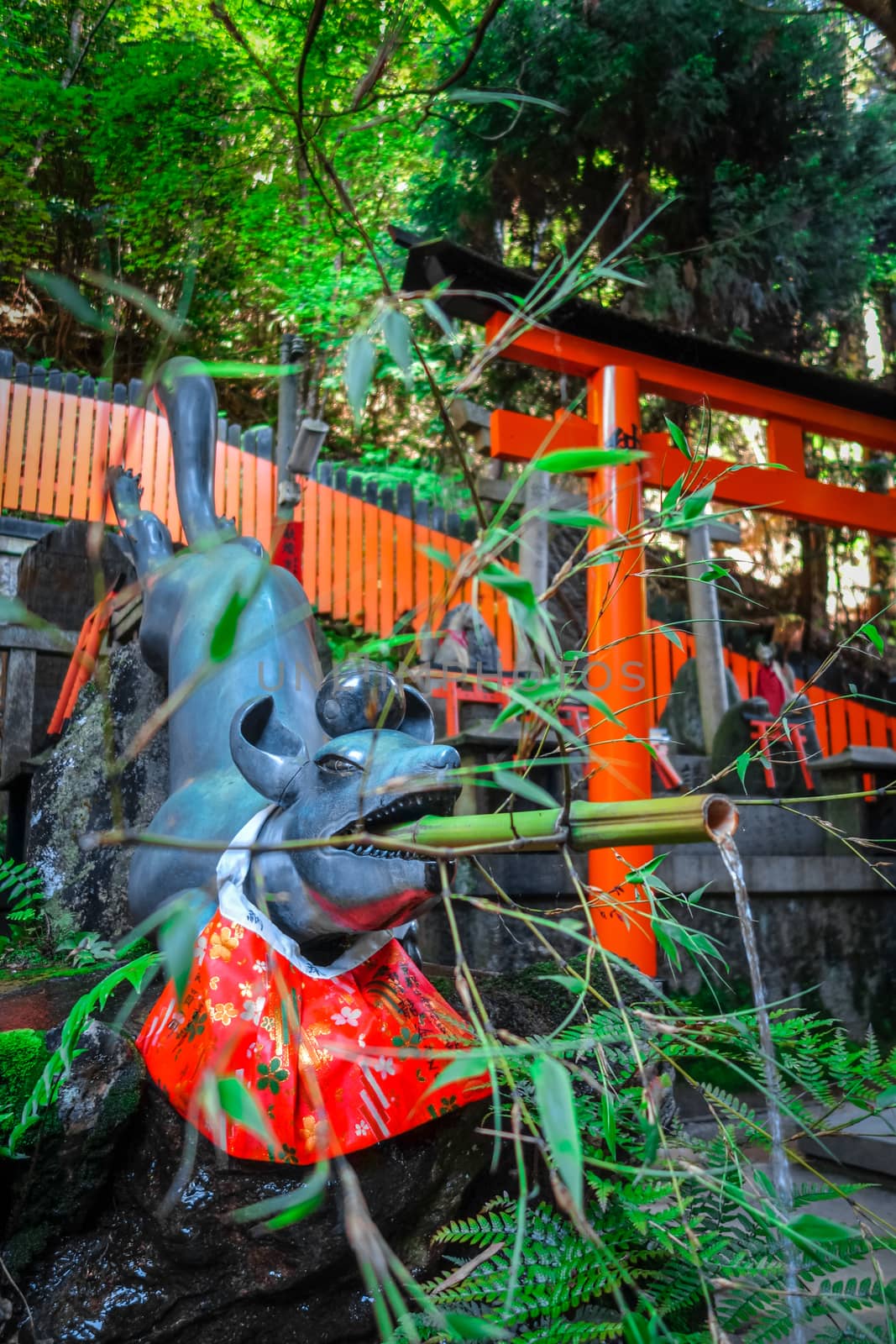 Fox purification fountain at Fushimi Inari Taisha, Kyoto, Japan by daboost