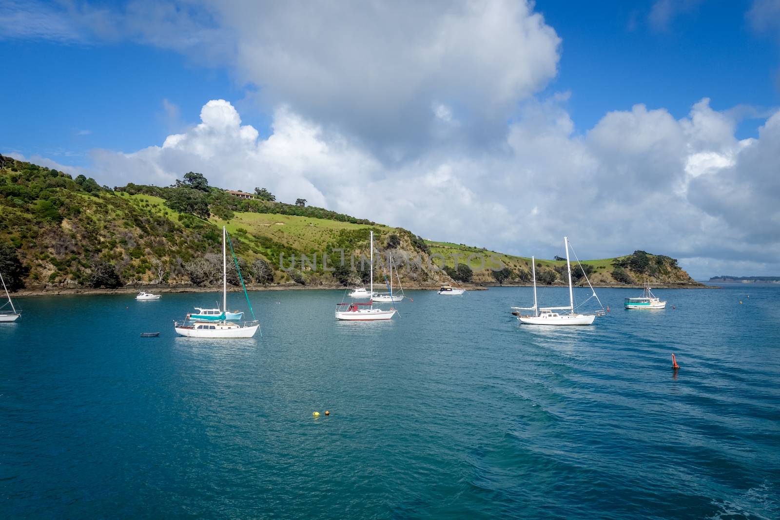 Sailing ship in Waiheke Island near Auckland, New Zealand by daboost