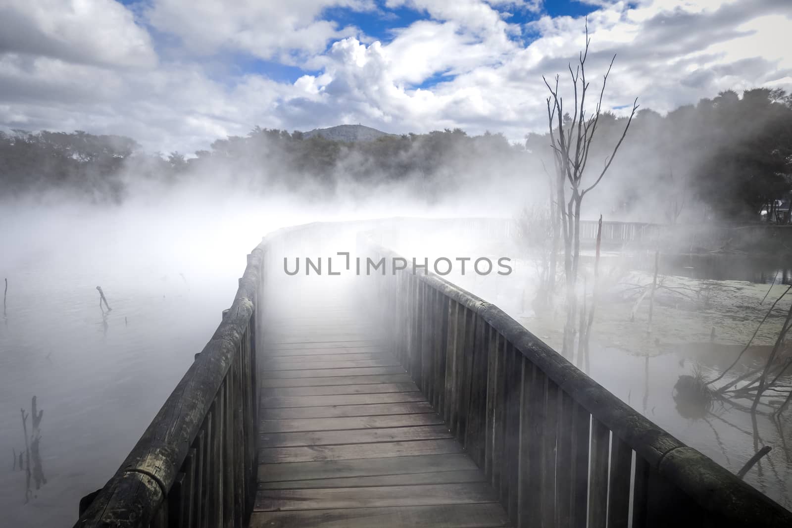 Bridge on a misty lake in Rotorua, New Zealand by daboost