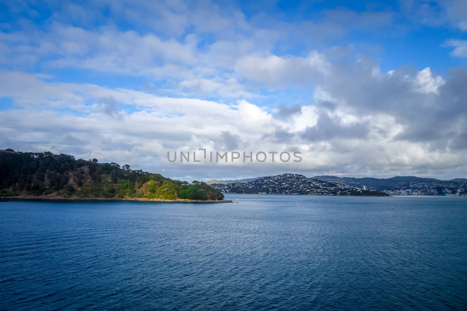 Wellington city view from the sea, New Zealand by daboost