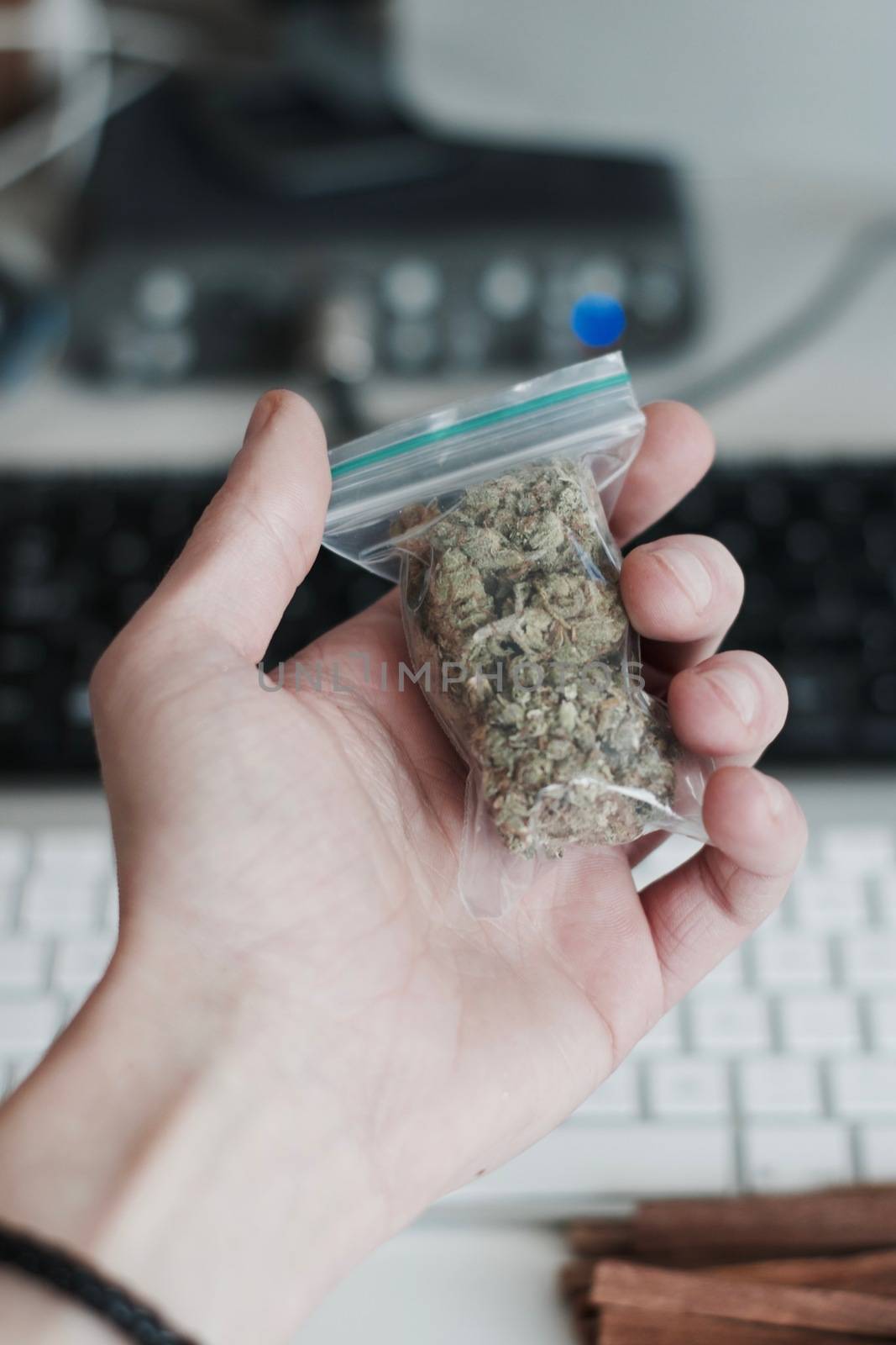 Green dry marijuana in man hand on the blurry background. Weed concept.