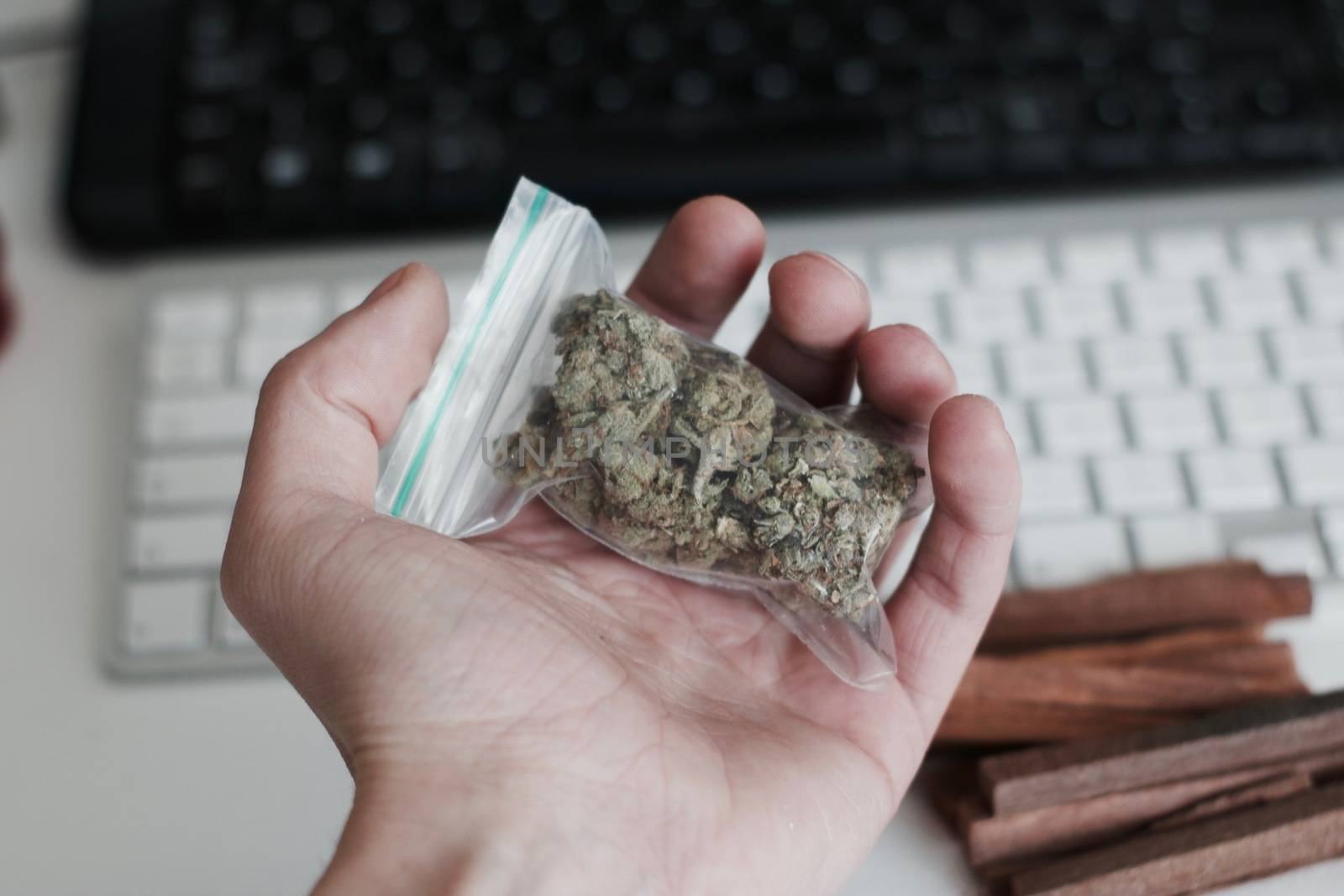Green dry marijuana in man hand on the blurry background. Weed concept.