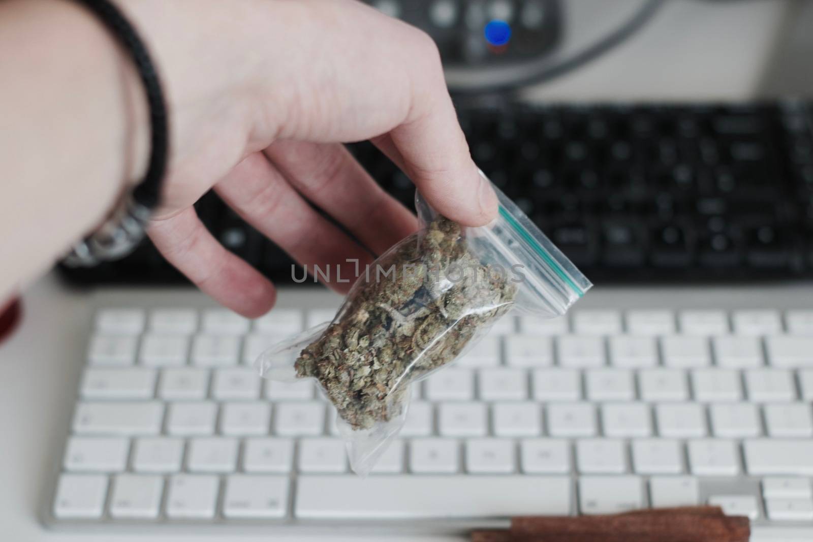Green dry marijuana in man hand on the blurry background. Weed concept.