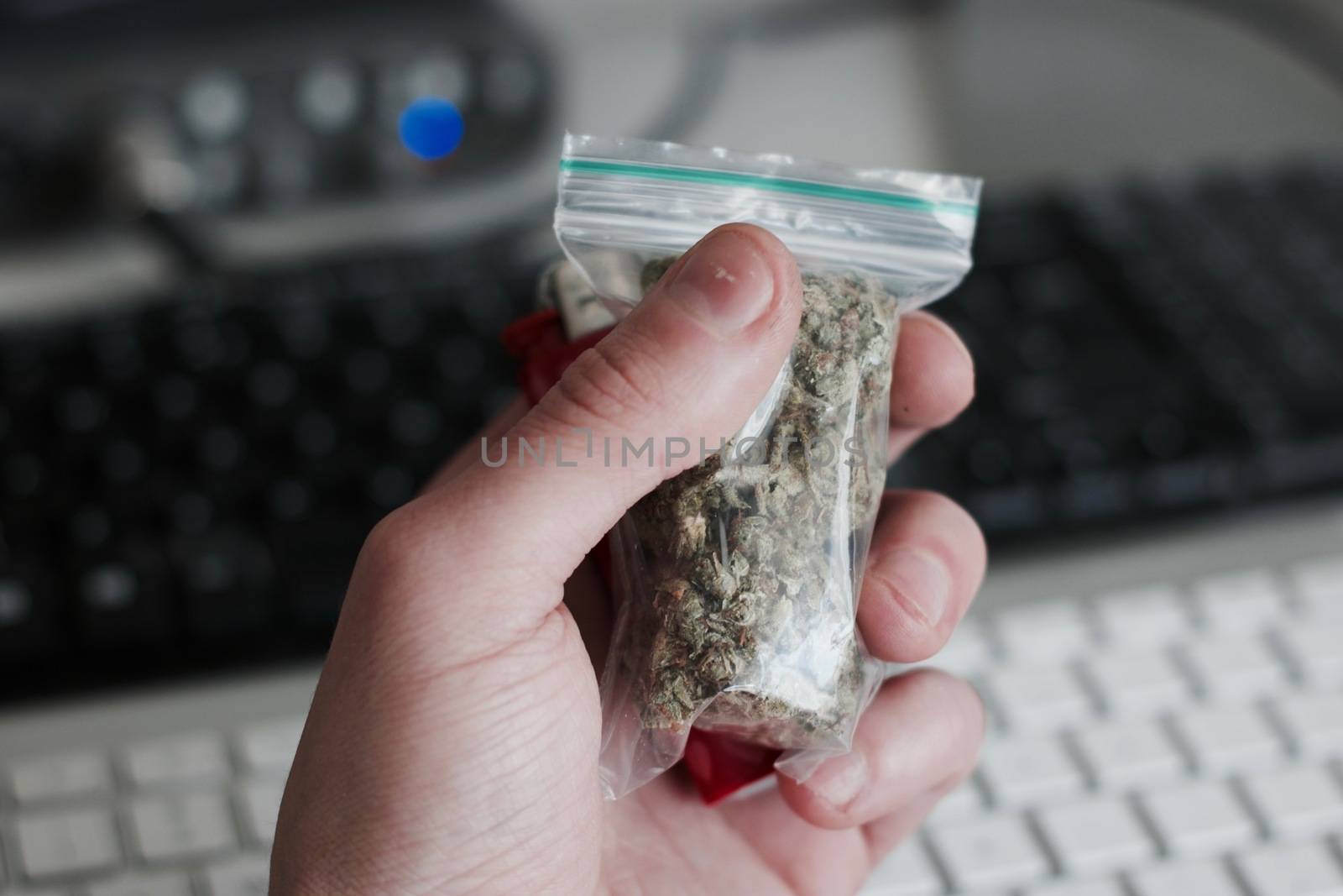 Green dry marijuana in man hand on the blurry background. Weed concept.