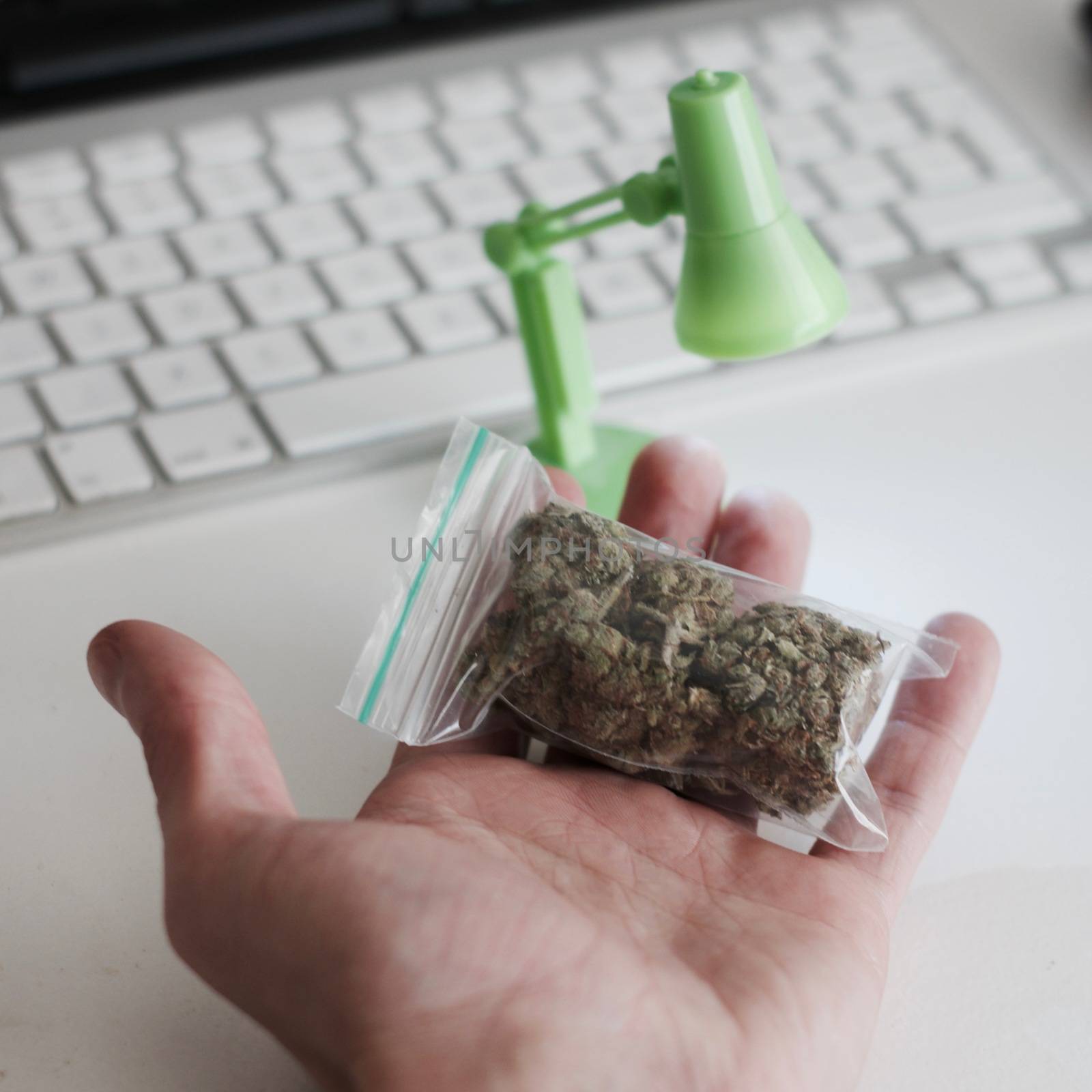 Green dry marijuana in man hand on the blurry background. Weed concept.