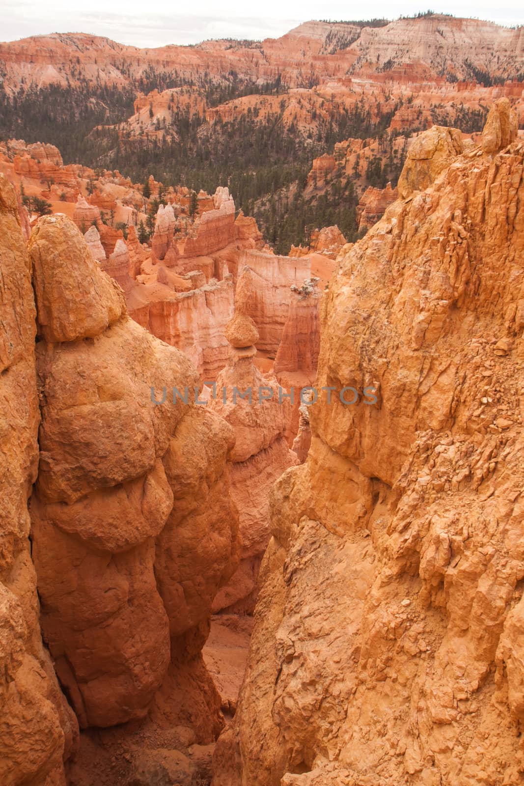 View over Bryce Canyon National Park. Utah.