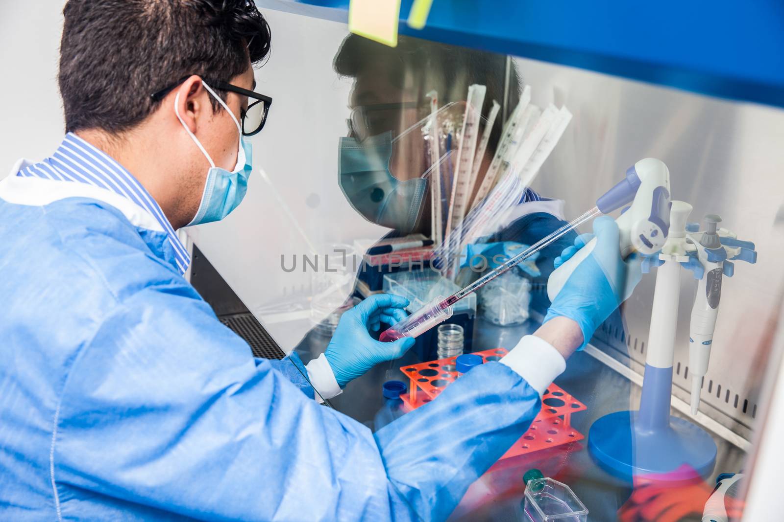 Young scientist working in a safety laminar air flow cabinet at laboratory